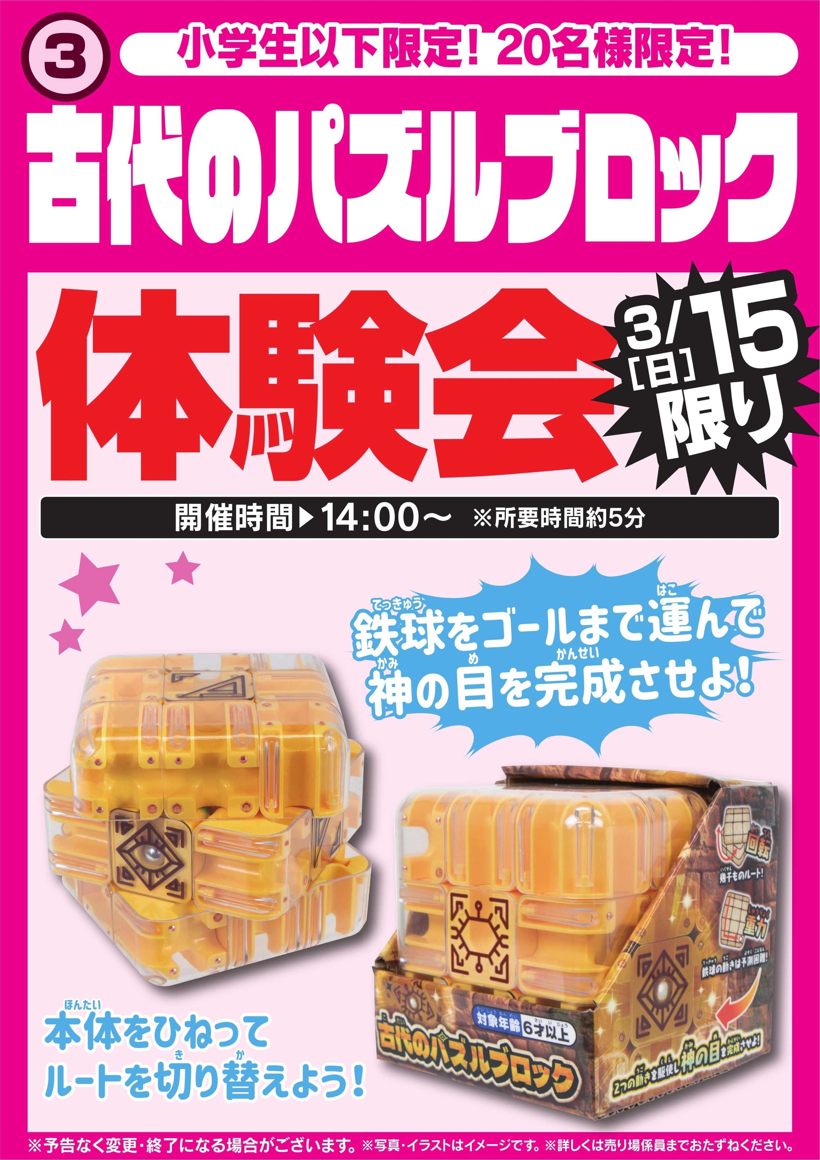 ヤマダデンキ 古代のパズルブロック体験会　3/15限り