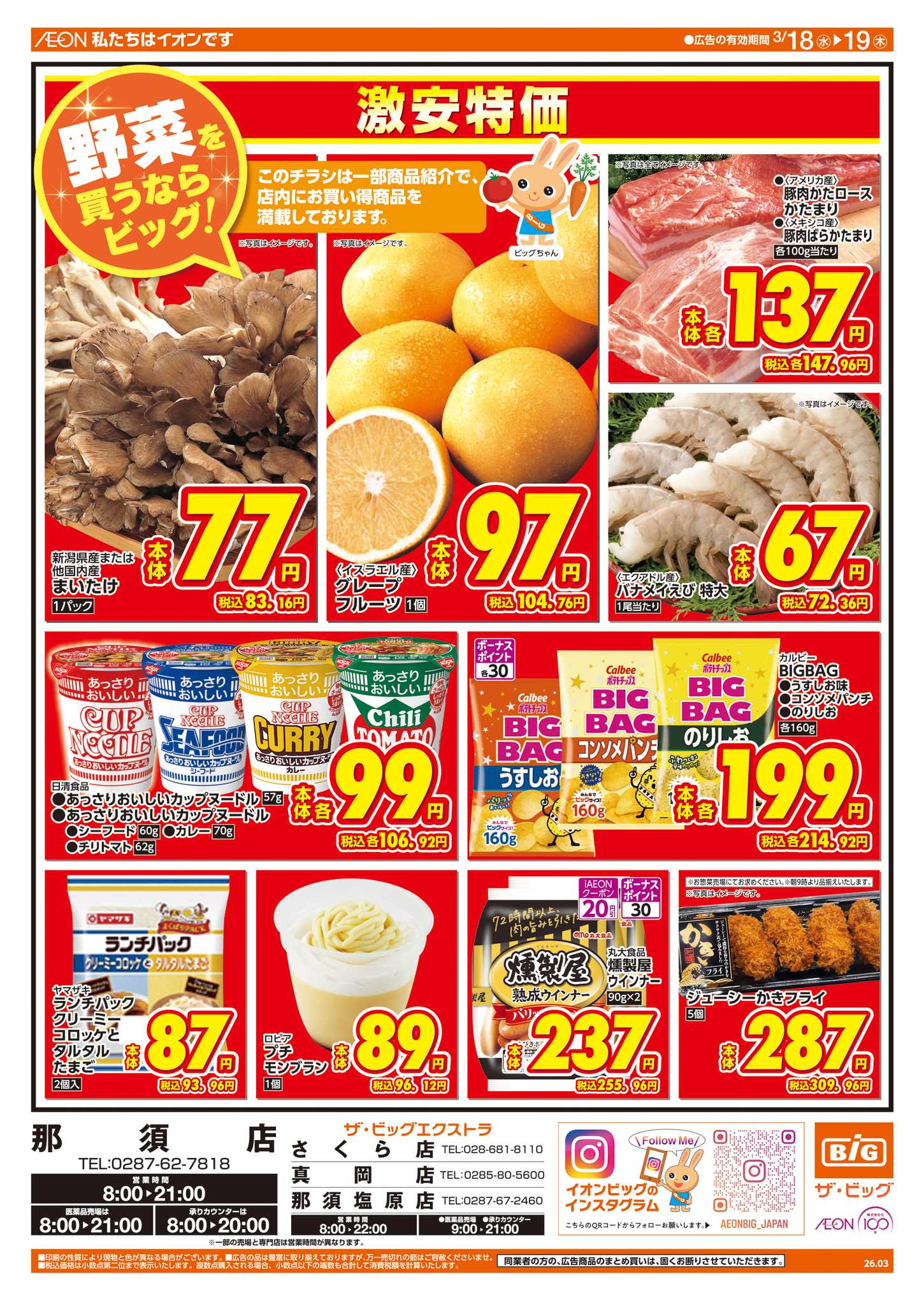 ザ・ビッグ 週中チラシ