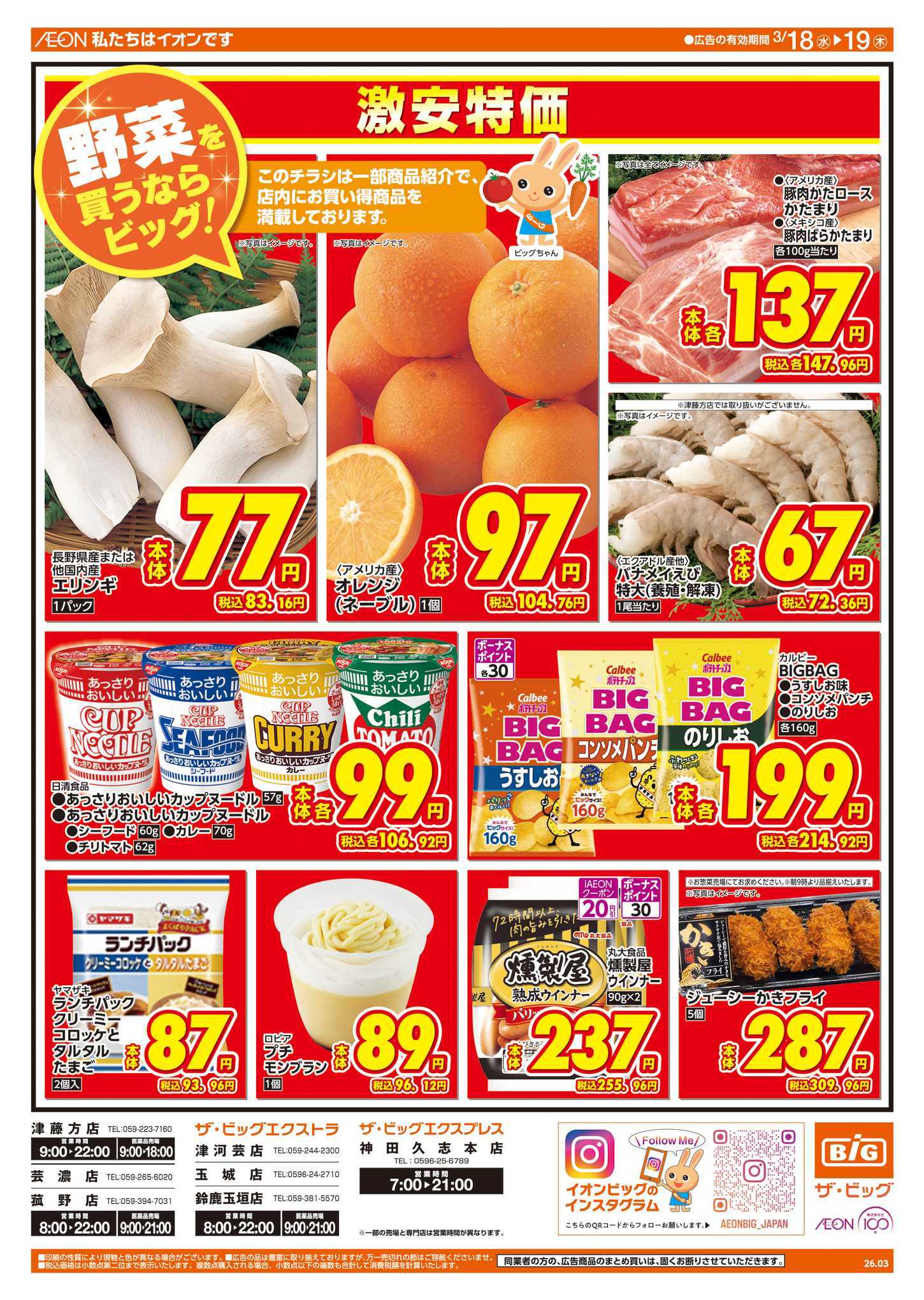 ザ・ビッグエクストラ 週中チラシ