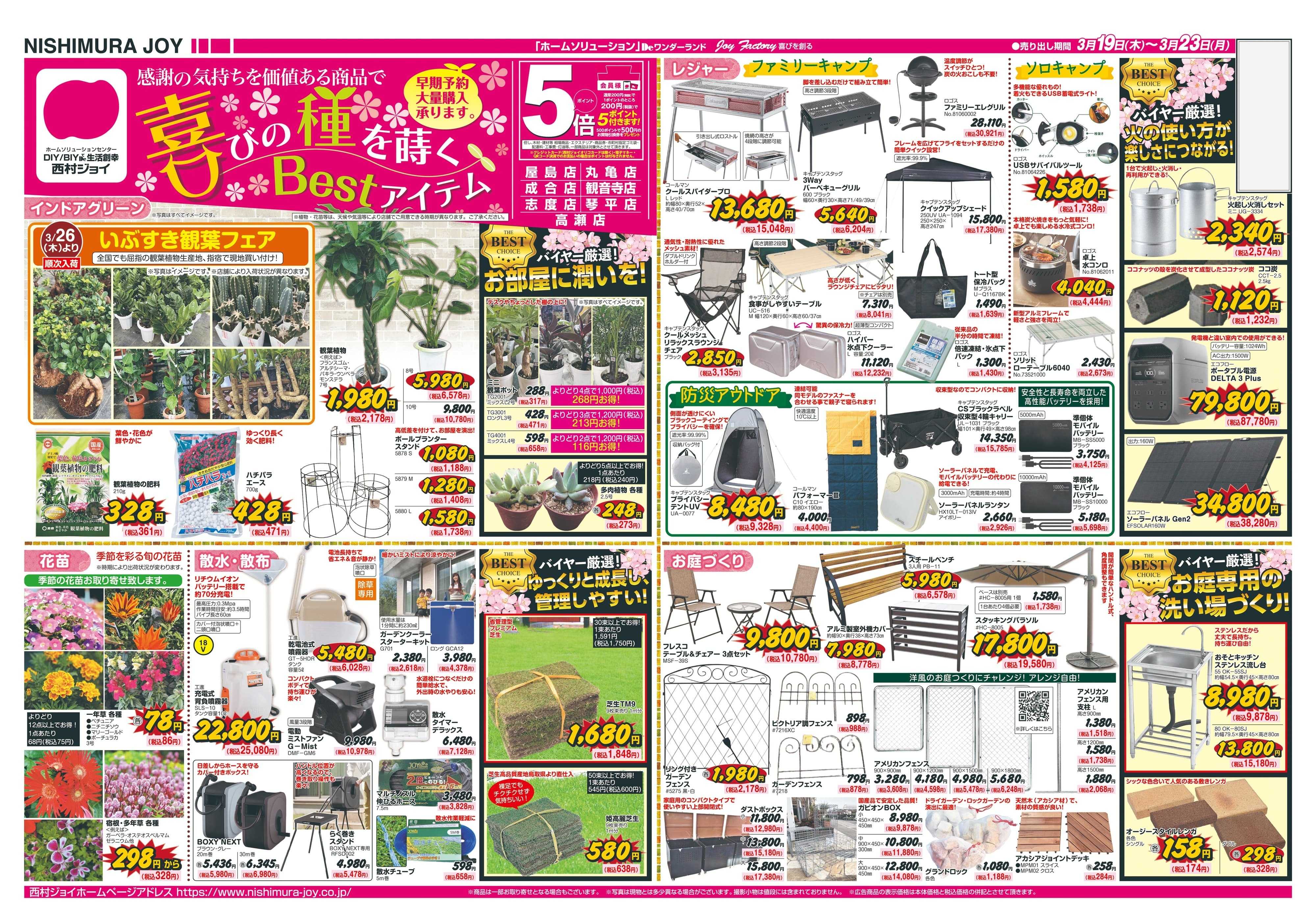 西村ジョイ 喜びの種をまく「会員様5倍ポイント」