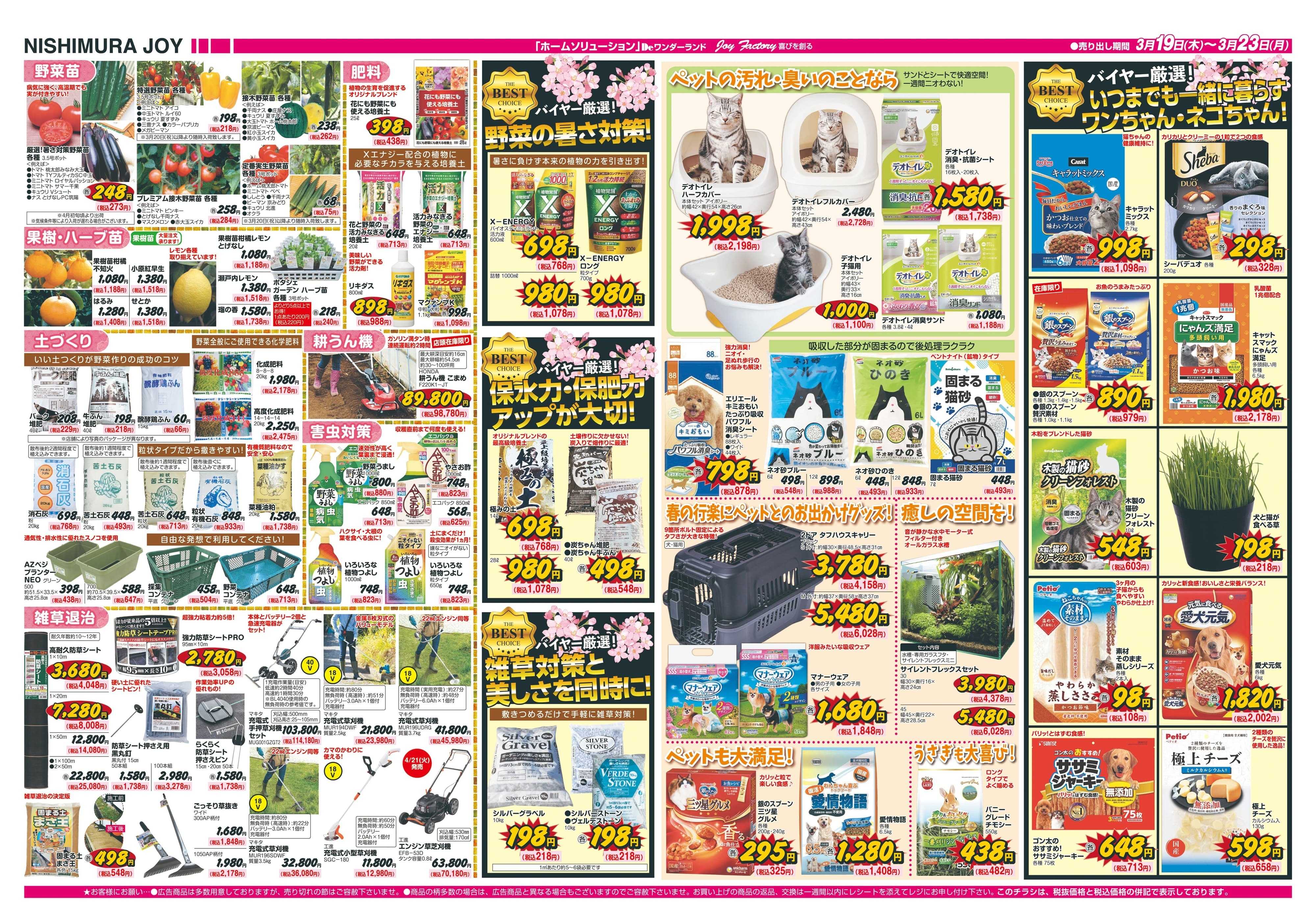 西村ジョイ 喜びの種をまく「会員様5倍ポイント」