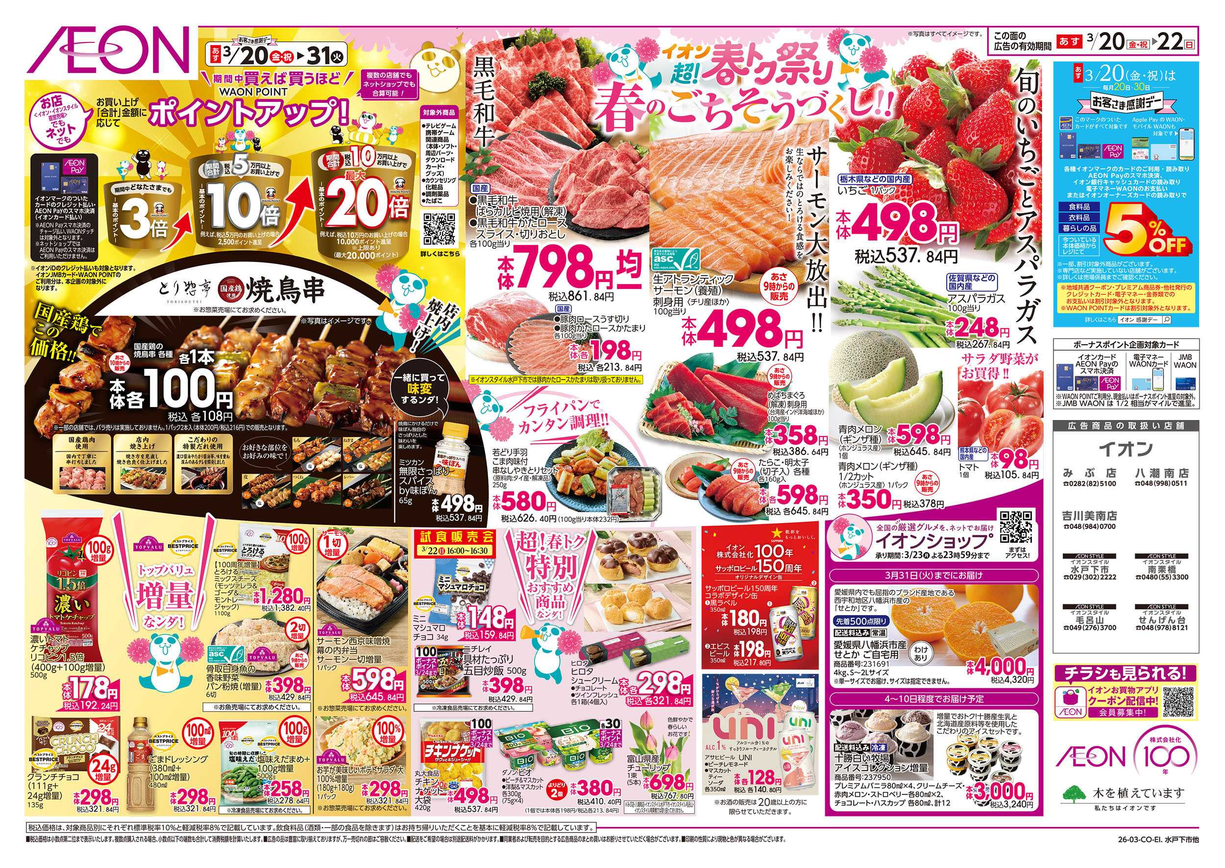 イオン 3/20号　超！春トク祭り：裏面