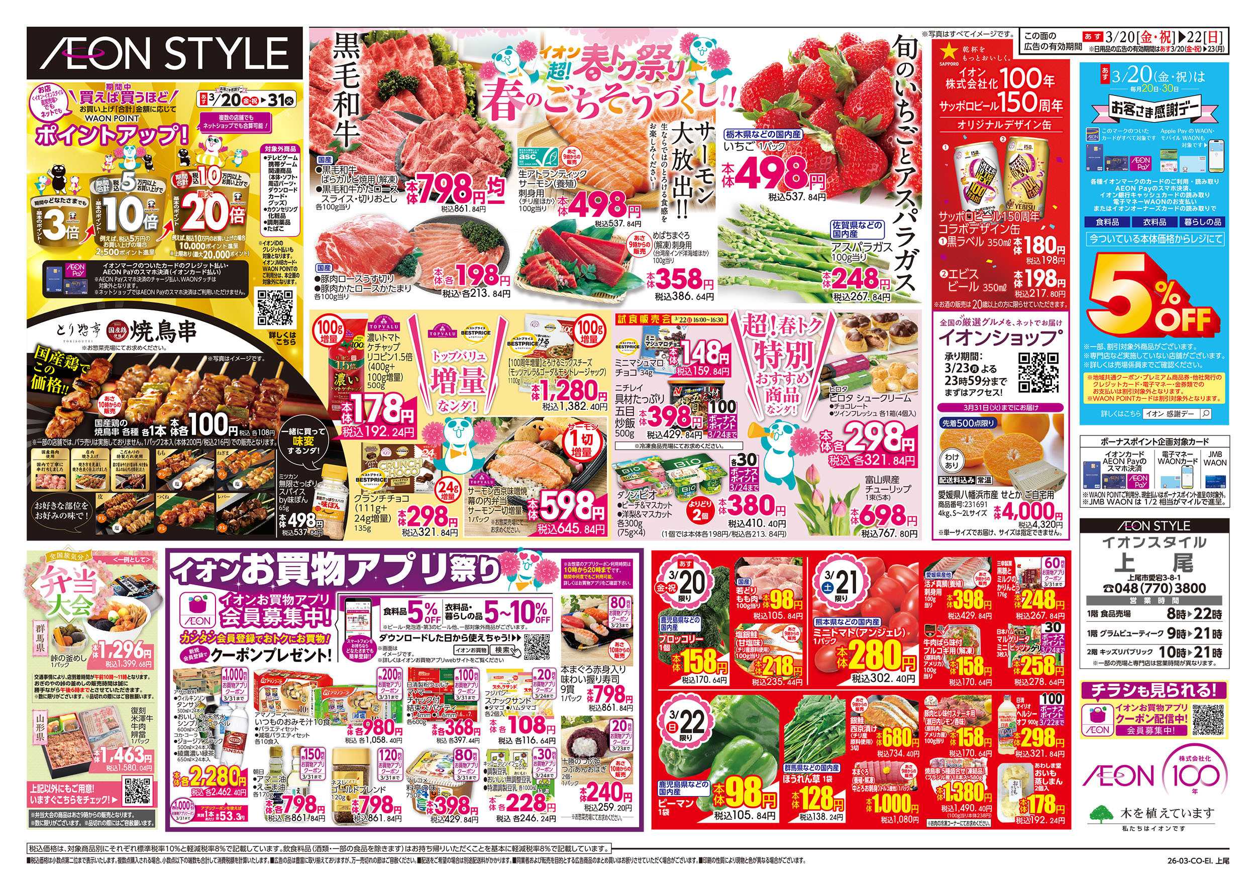 イオンスタイル 3/20号　超！春トク祭り：裏面