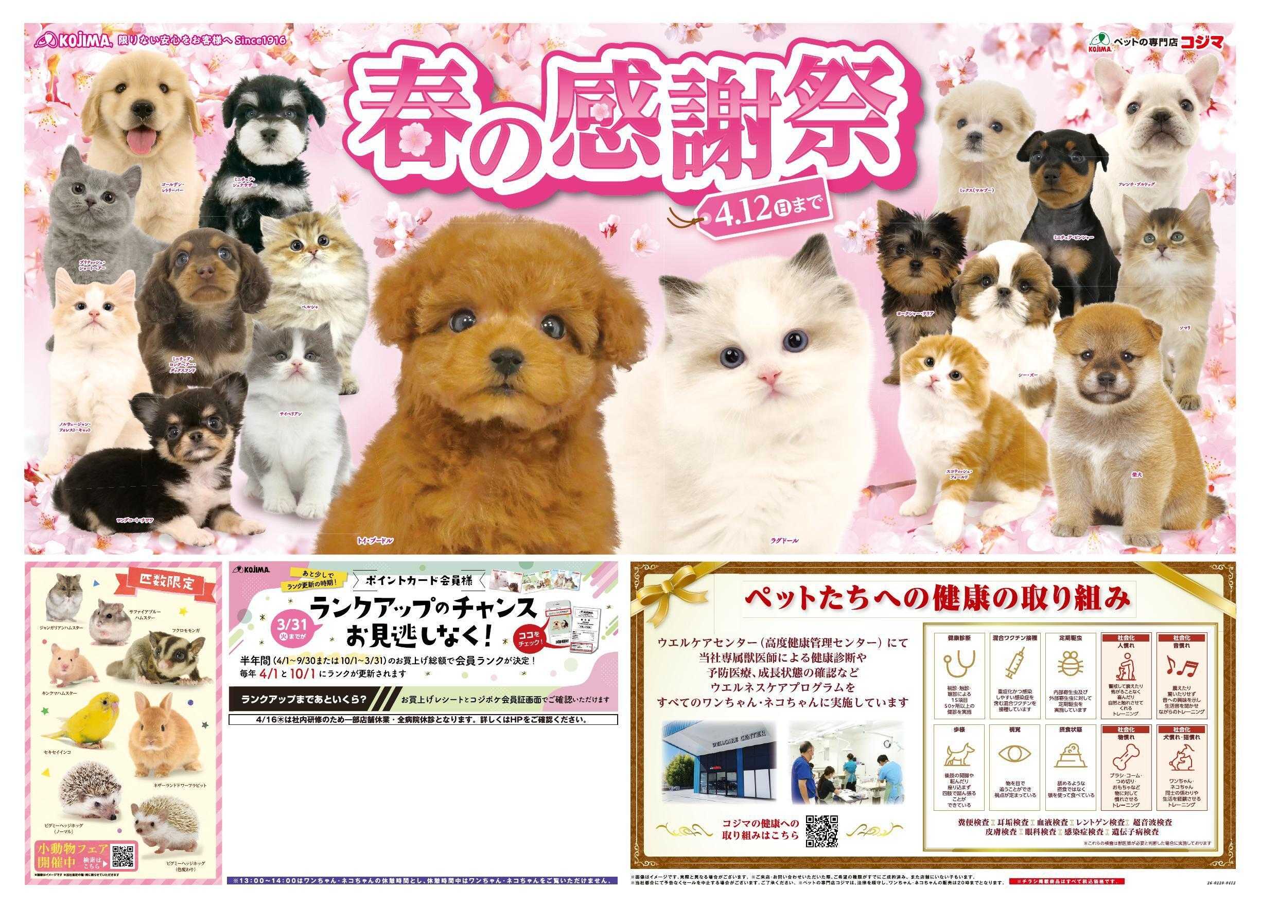 ペットの専門店コジマ 【コジマ決算セール】春の感謝祭