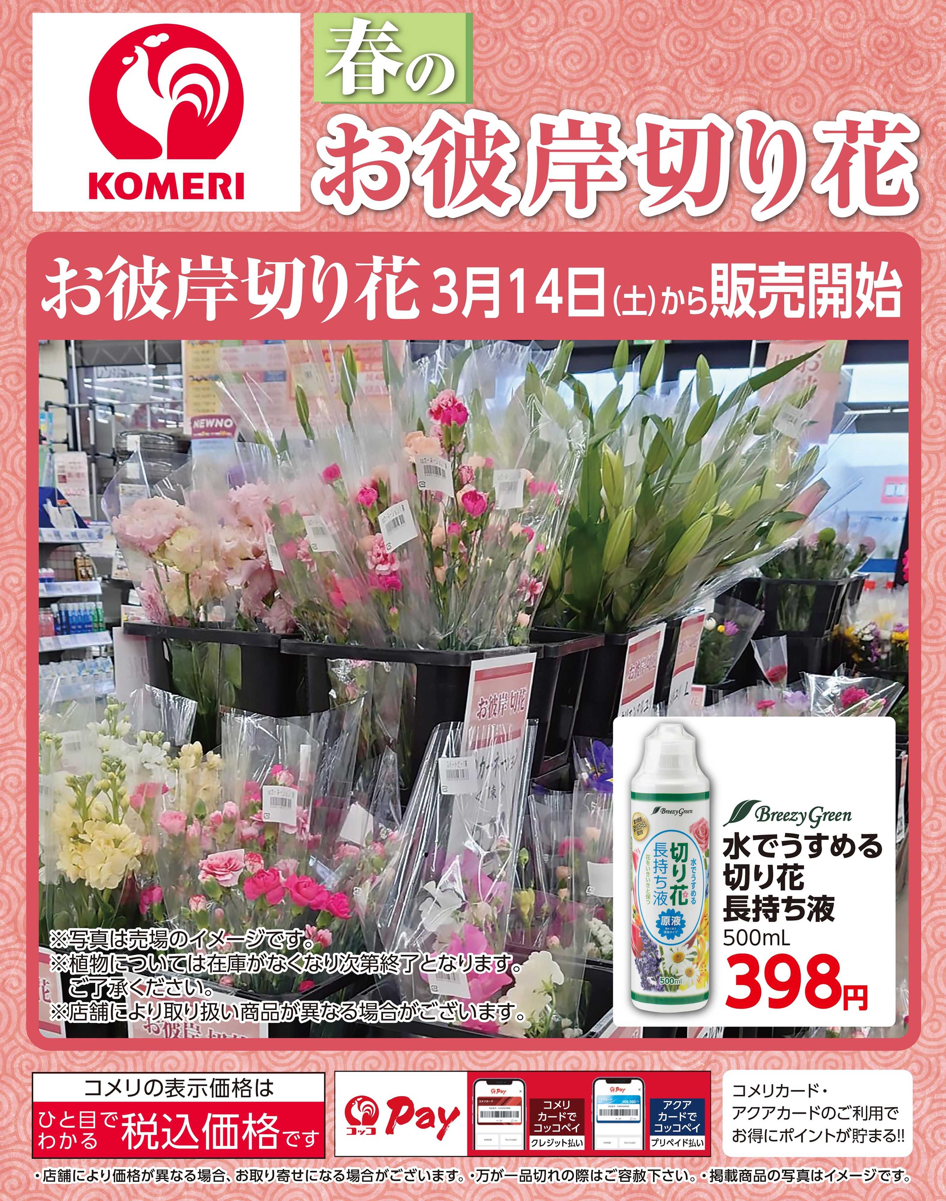 コメリハード＆グリーン コメリ 春のお彼岸切り花