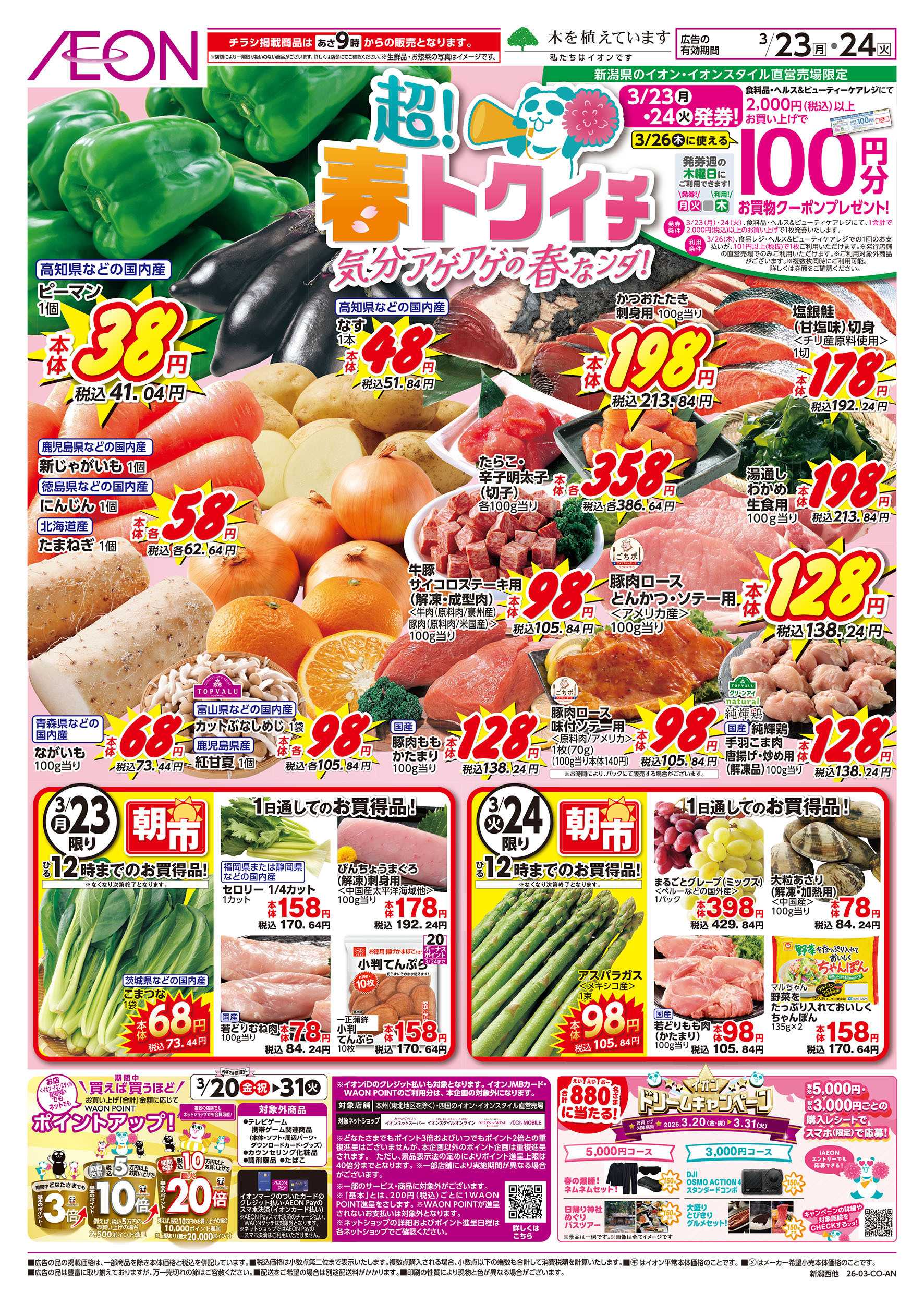 イオン 3/23号　イオンのOhっ！得市：表面