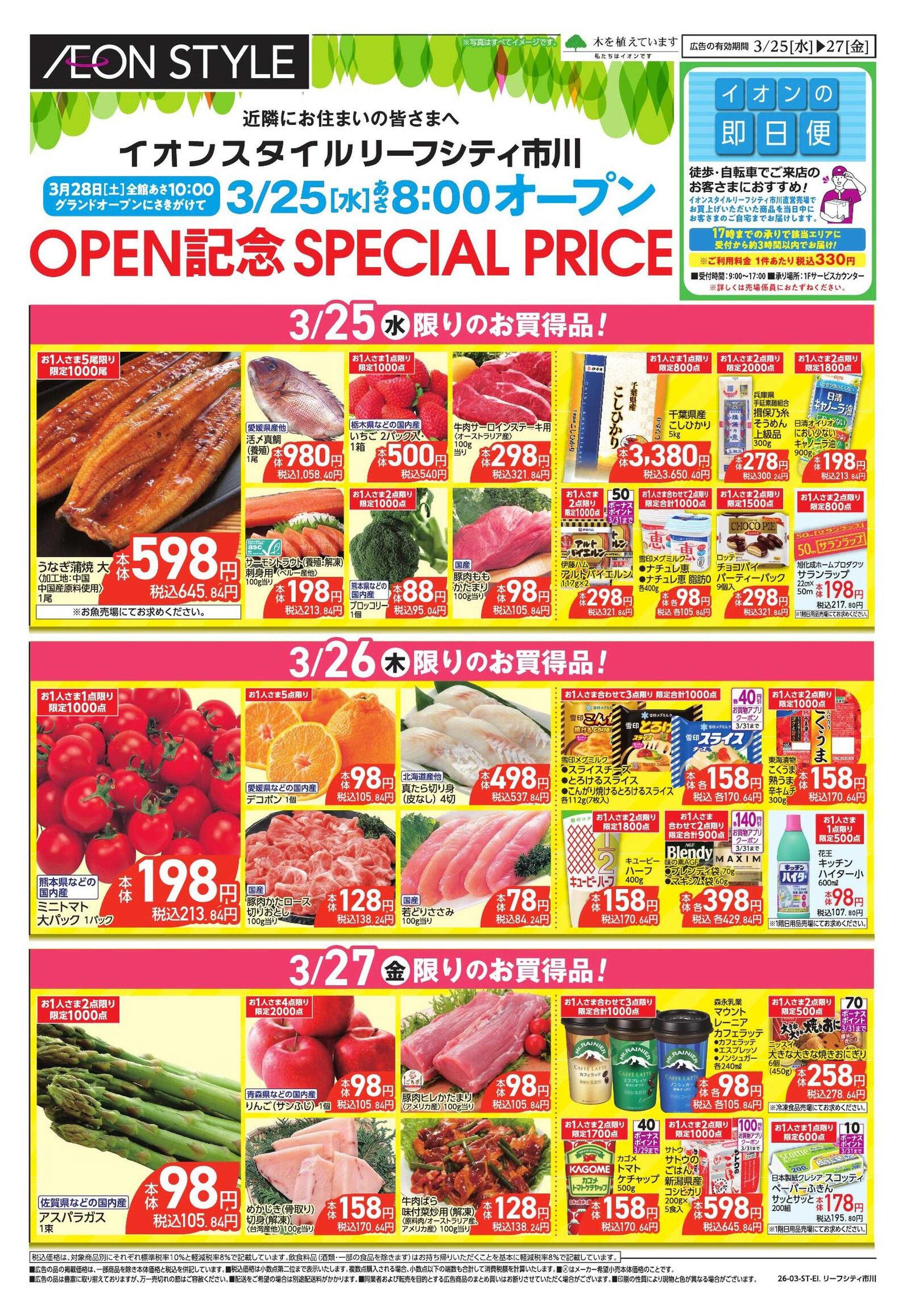 イオンスタイル 【WEB・店置き】お買い得版　ソフトオープン