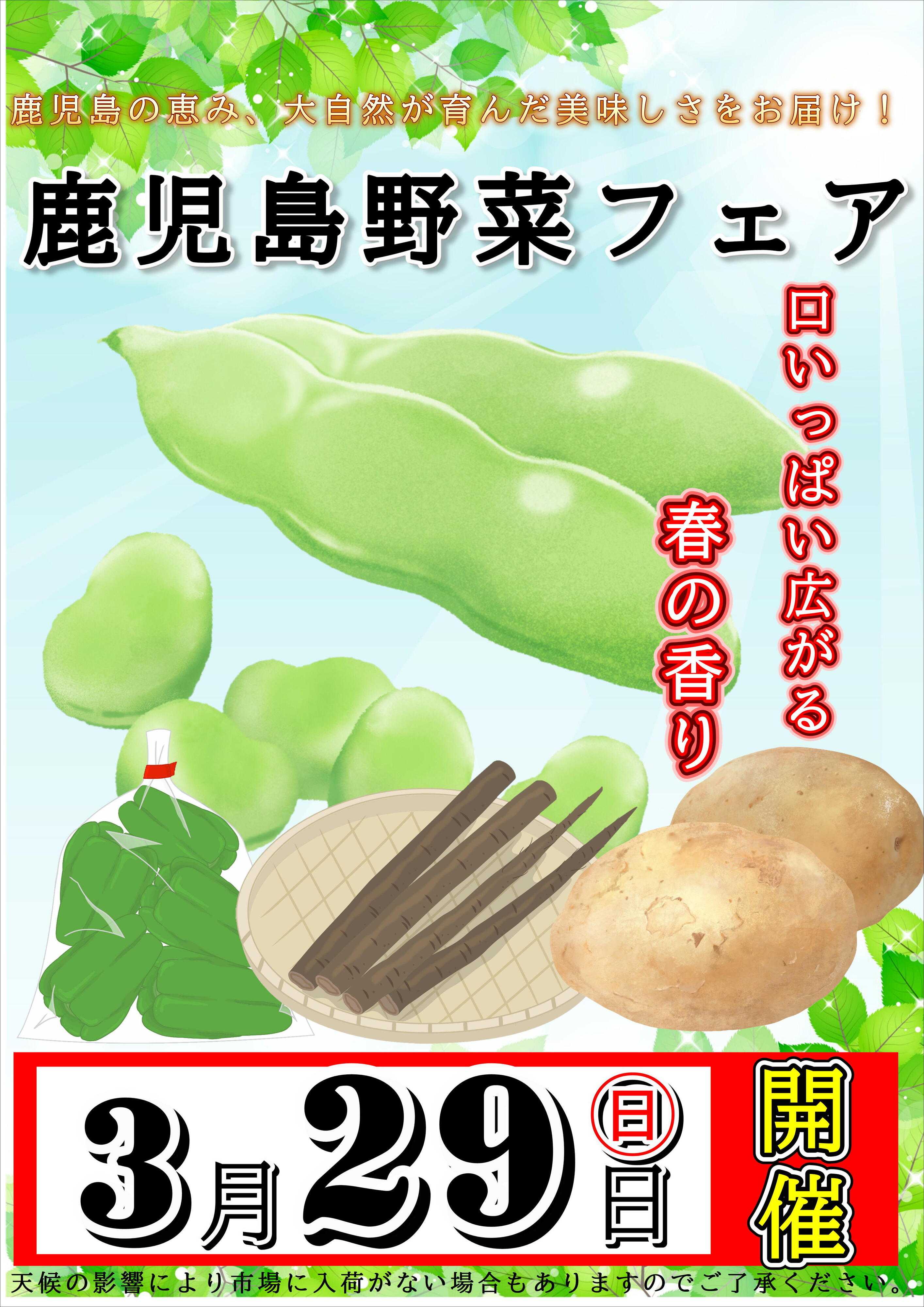 オオゼキ 鹿児島野菜フェア開催