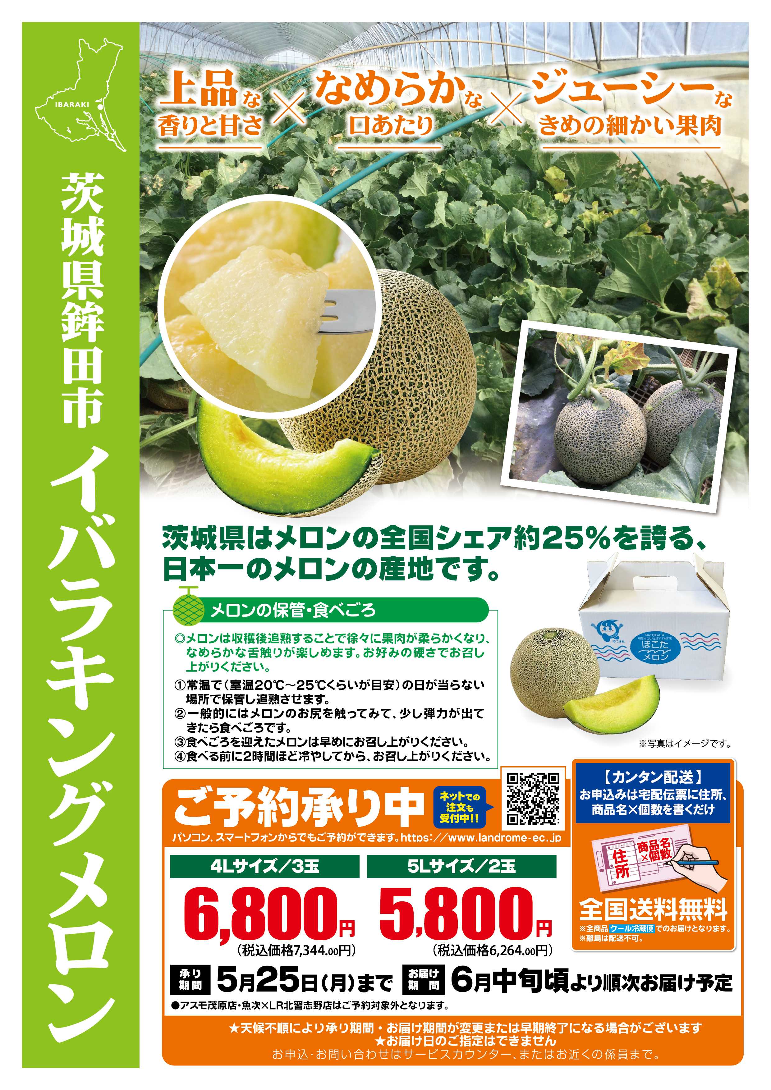 ランドローム 産直・イバラキングメロン