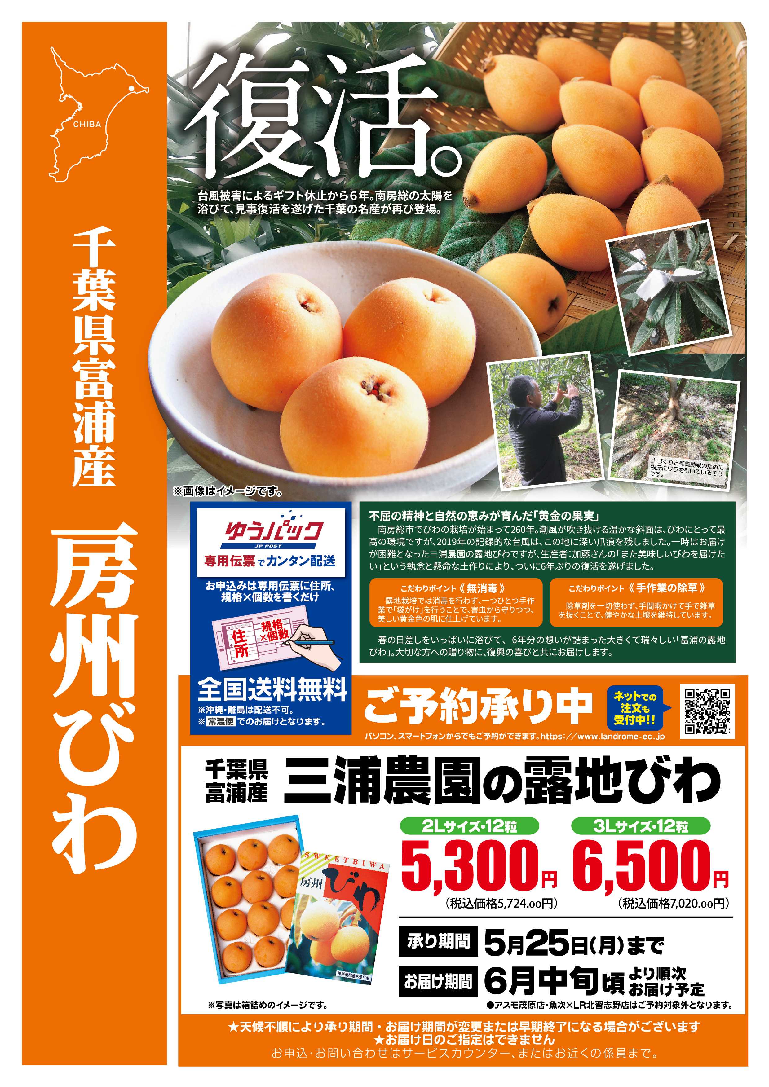 ランドローム 産直・房州びわ