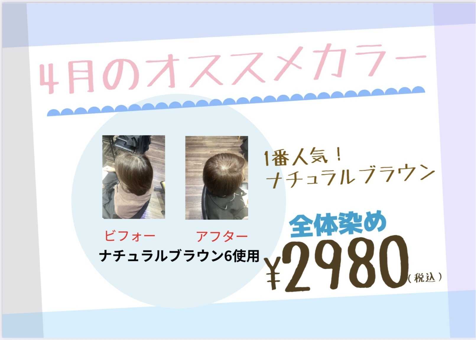 ビューティーカラープラス 