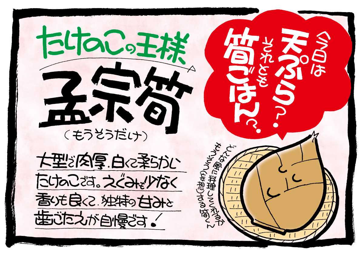 北海市場 【4月のこだわり商品】孟宗筍▼▼お知らせをチェック！▼▼