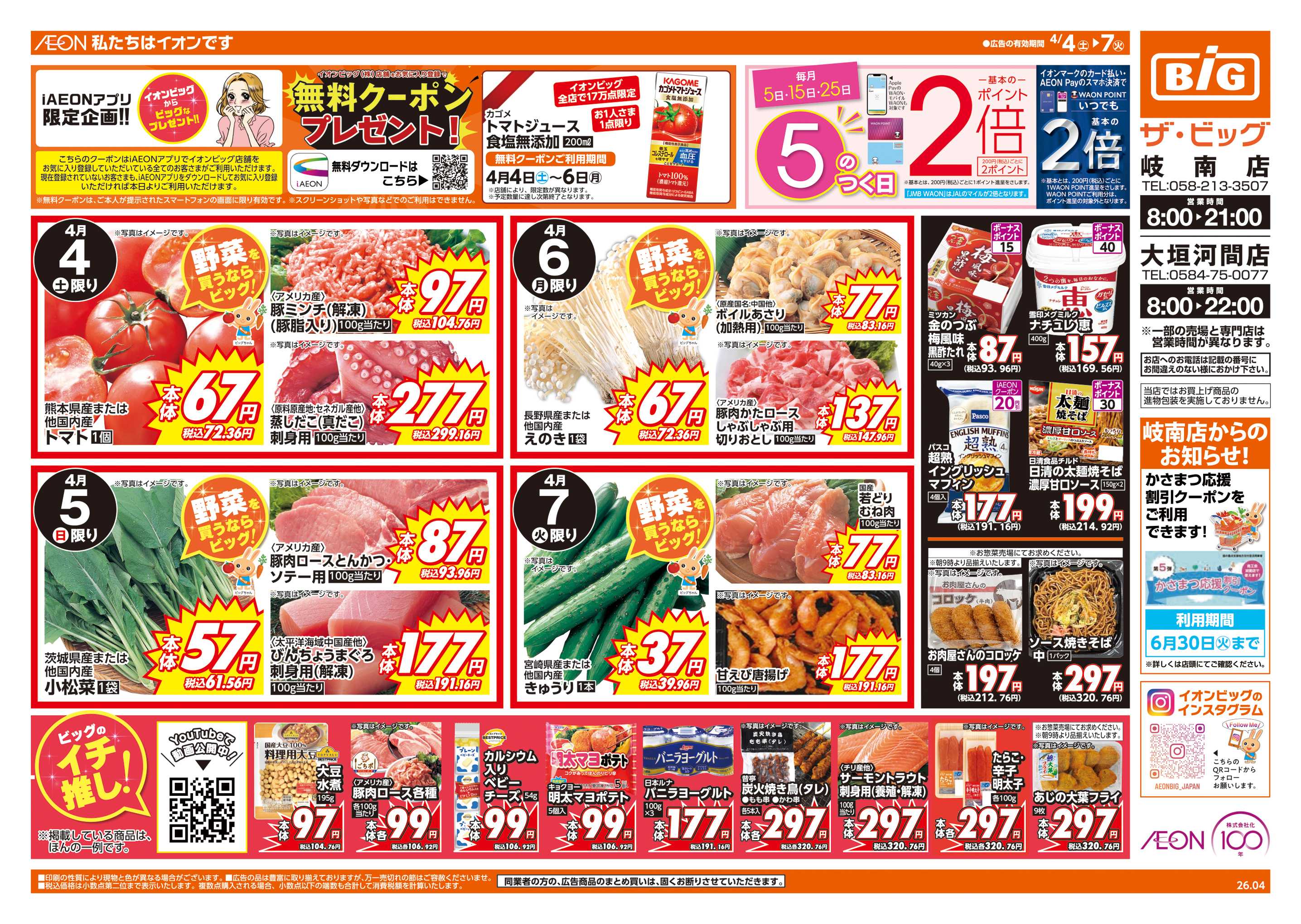 ザ・ビッグ 週末チラシ