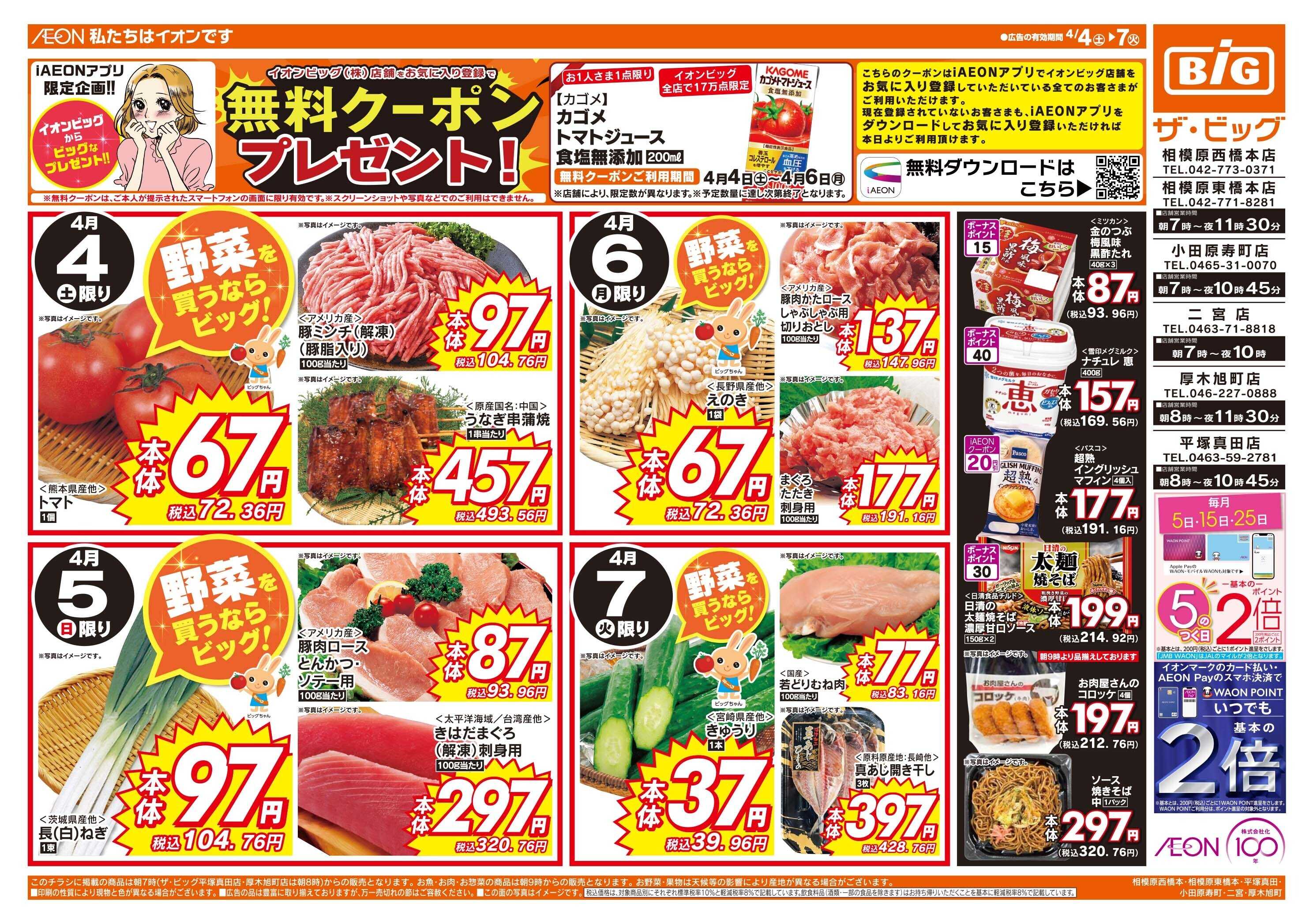 ザ・ビッグ 週末のお買い物はザ・ビッグで！