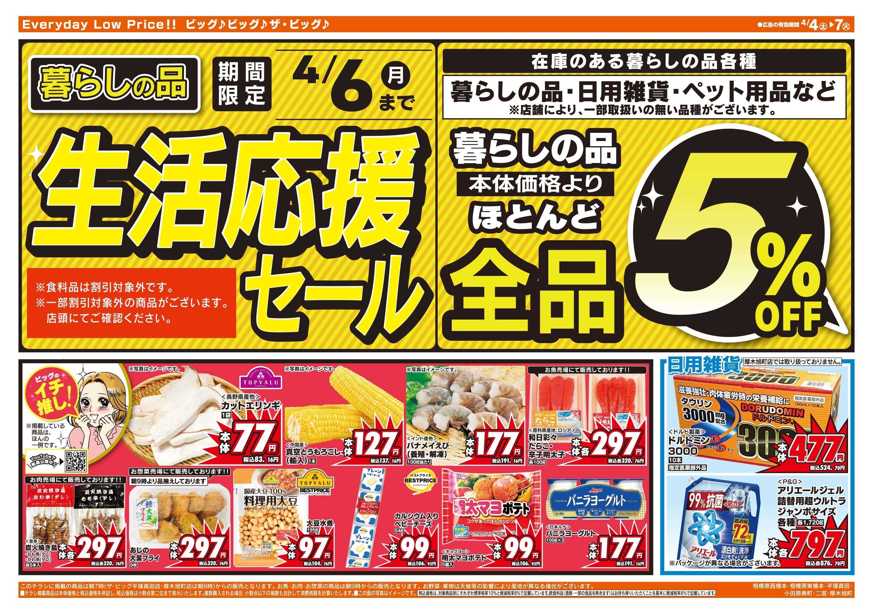 ザ・ビッグ 週末のお買い物はザ・ビッグで！