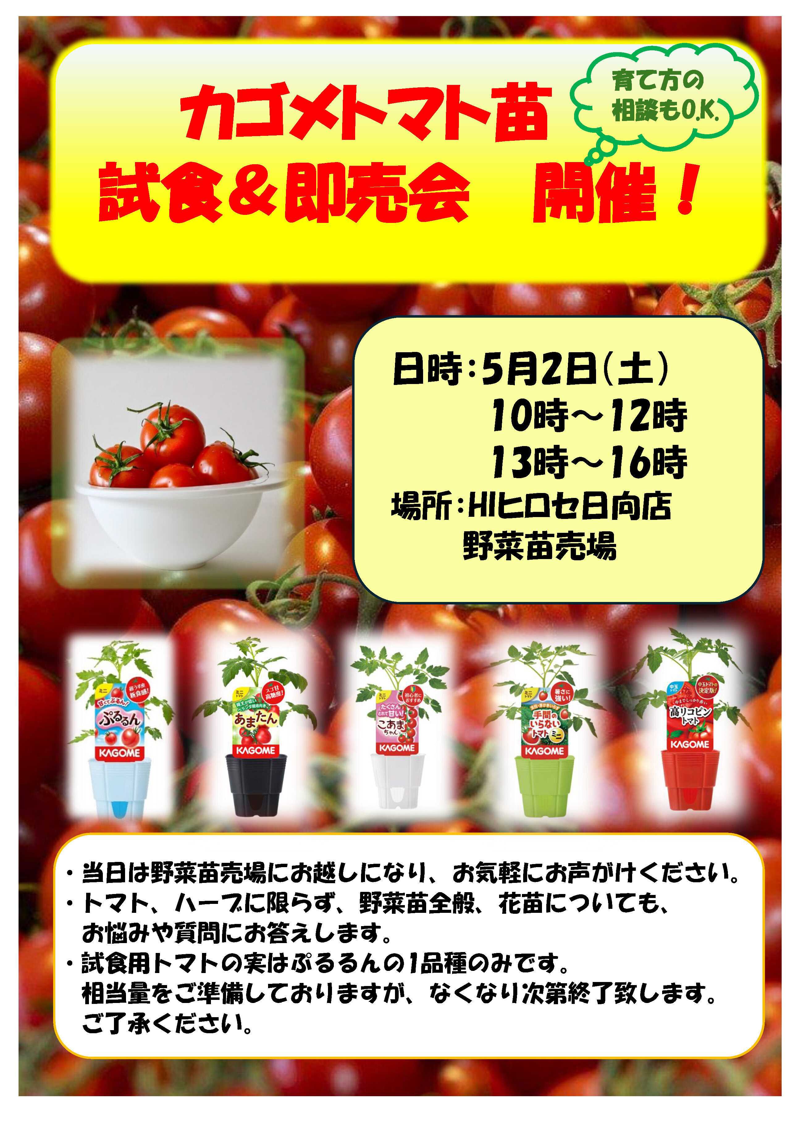 HIヒロセ 【日向店限定】カゴメ　トマト苗の試食＆即売会！