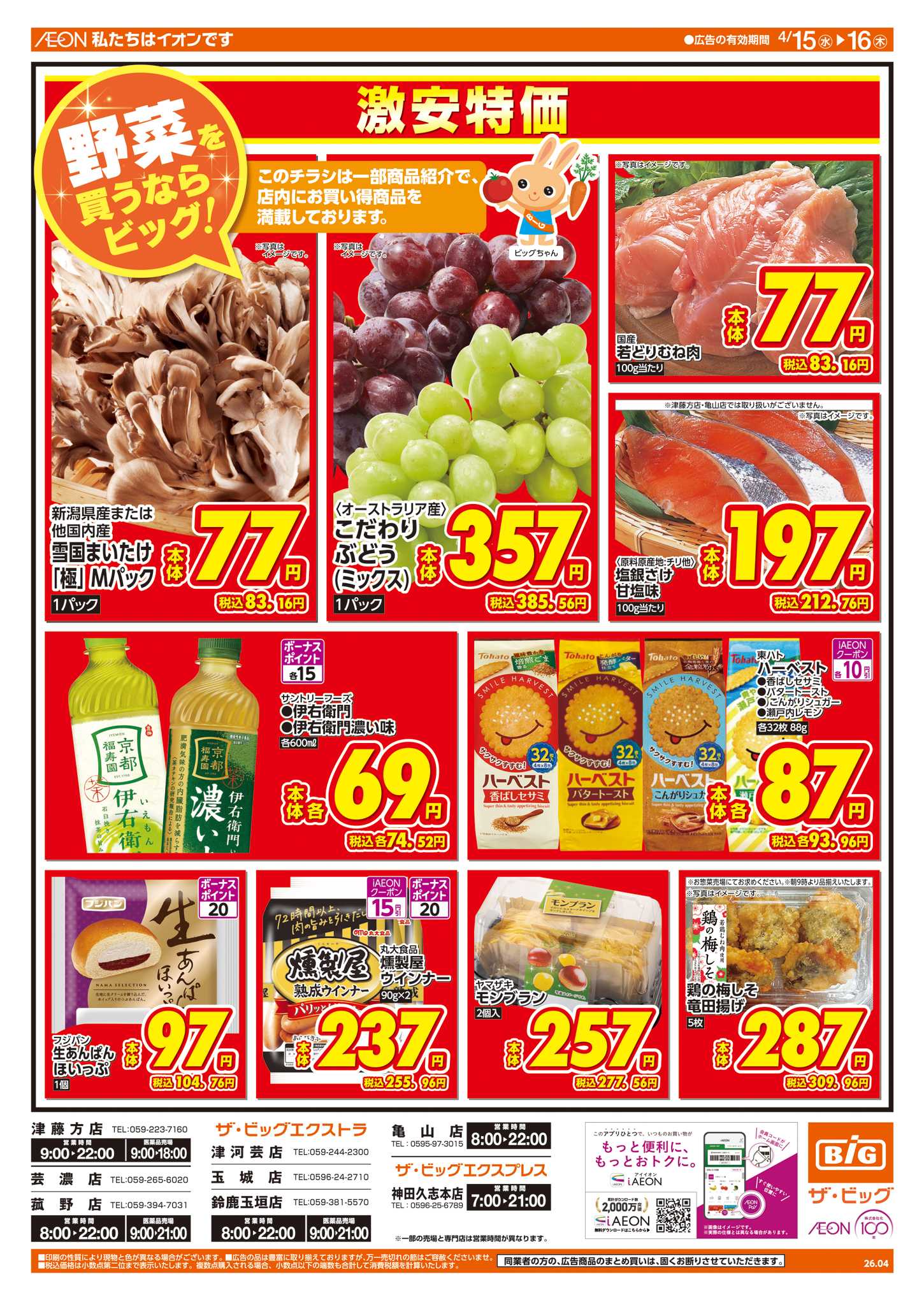 ザ・ビッグ 週中チラシ