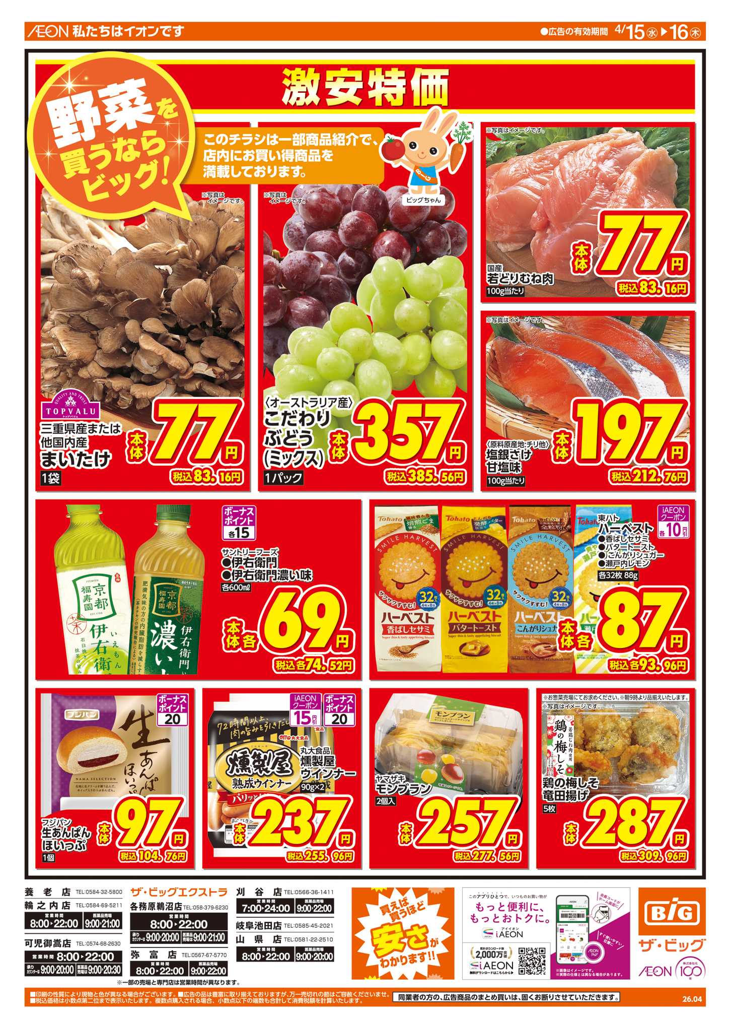 ザ・ビッグエクストラ 週中チラシ