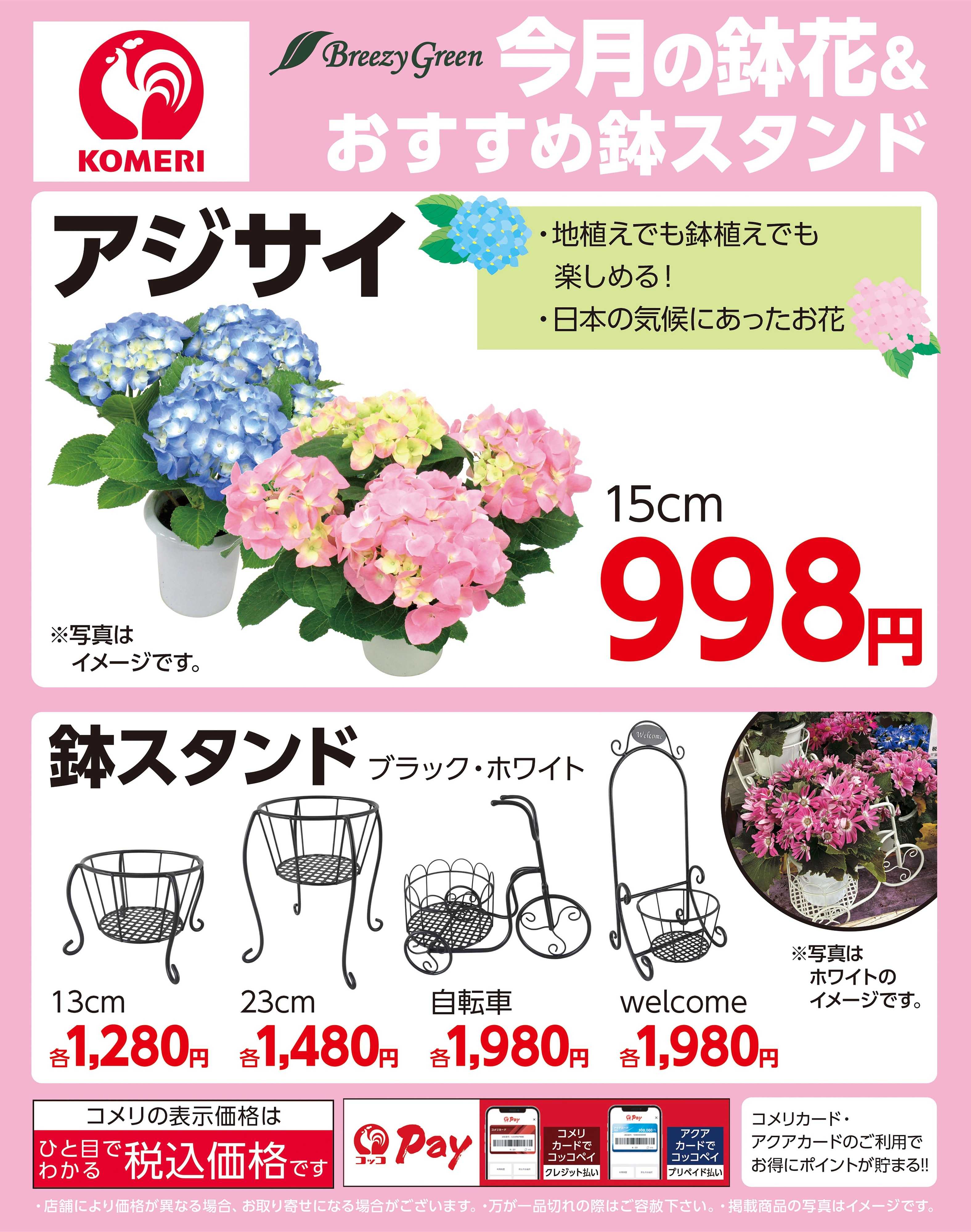 コメリハード＆グリーン 今月の鉢花＆おすすめ鉢スタンド