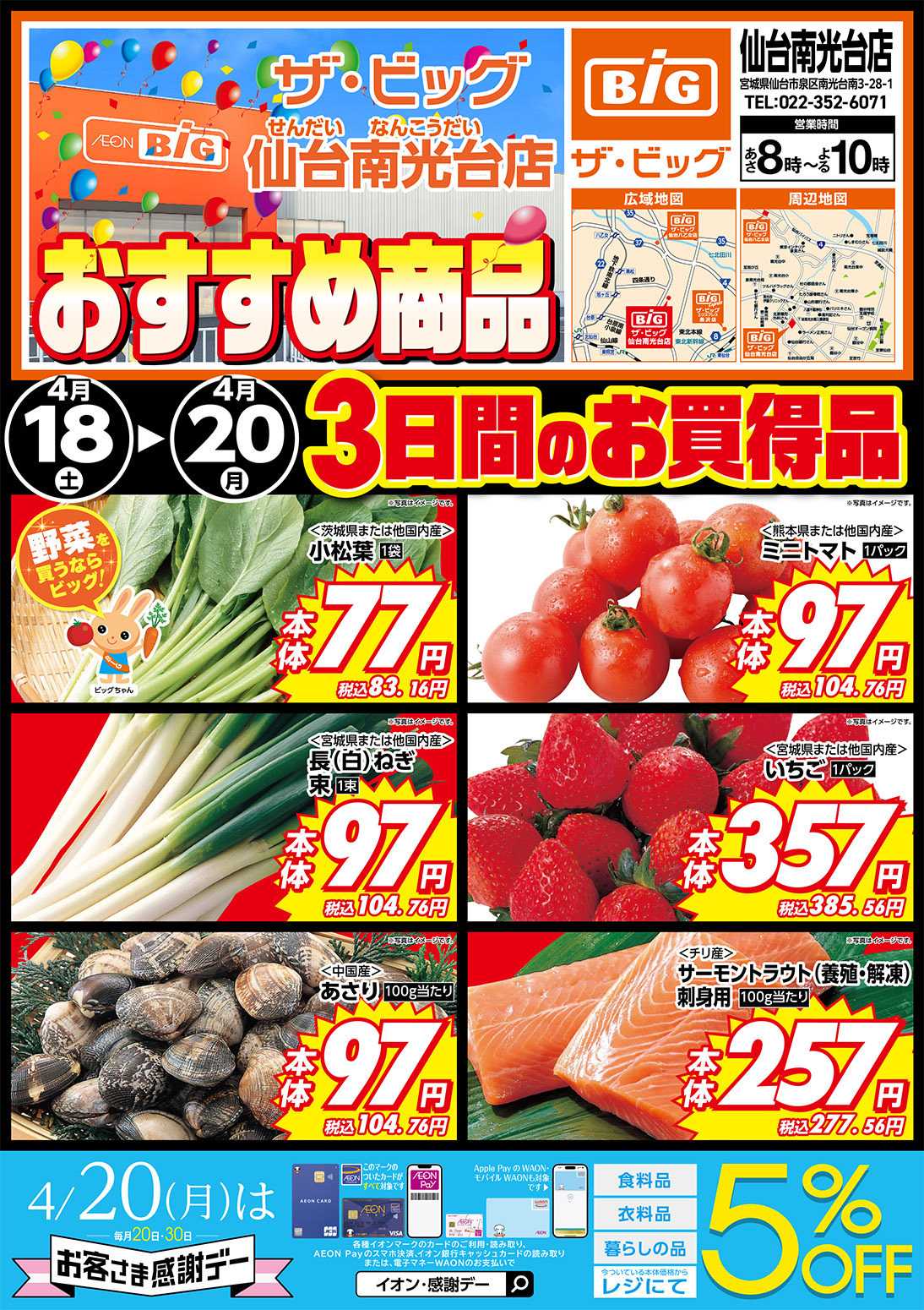 ザ・ビッグ 仙台南光台店WEB限定チラシ