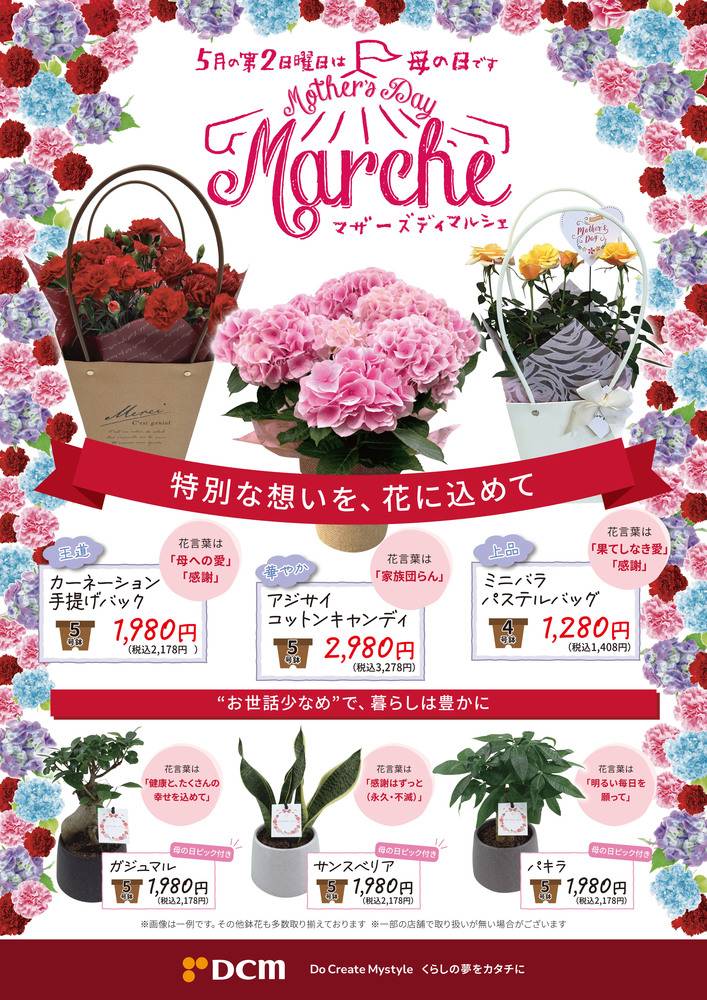 DCM株式会社19ページ　4点まとめ売り DCM 会津若松店の最新チラシ・セール情報 | クラシルチラシ