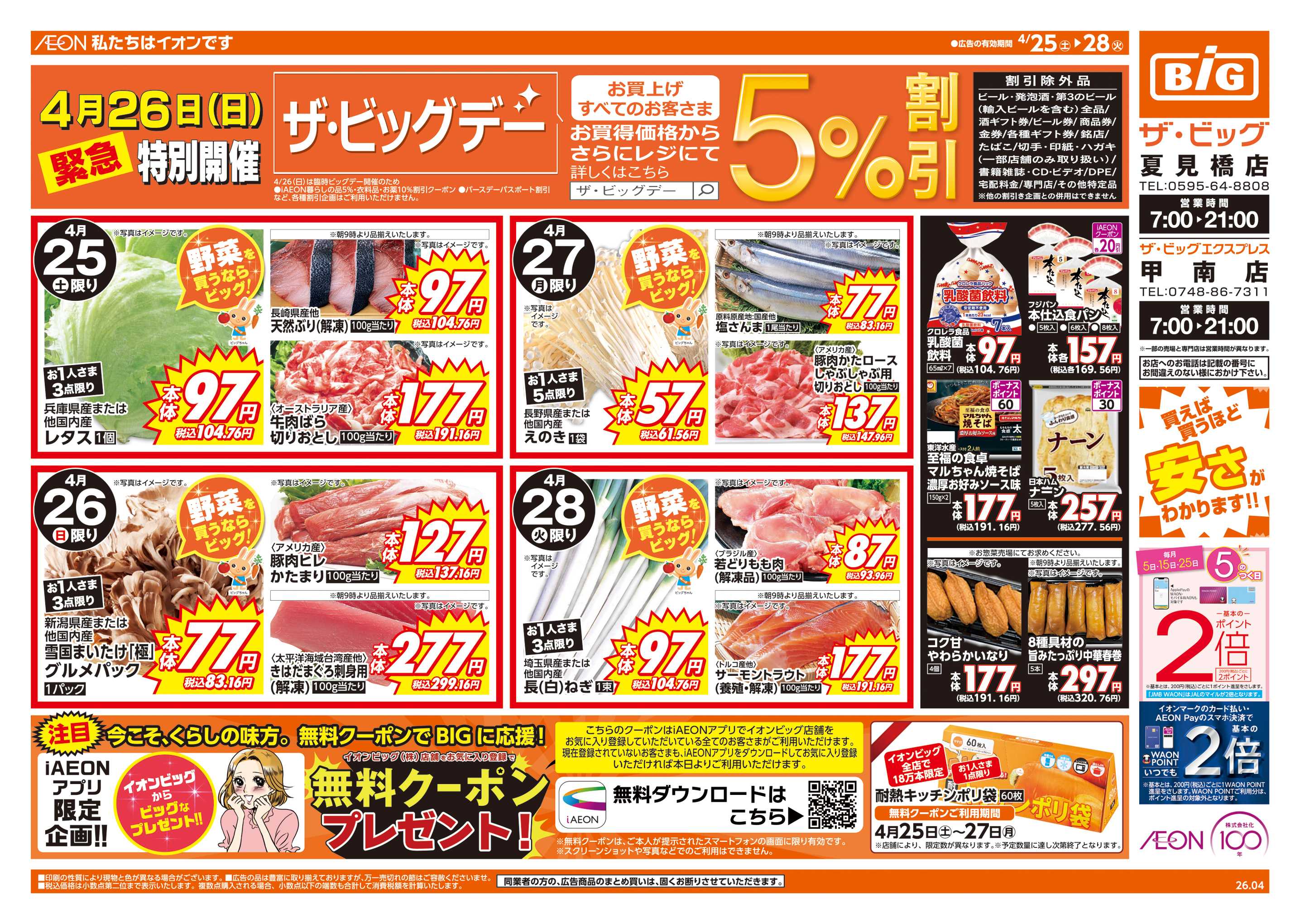 ザ・ビッグ 週末チラシ