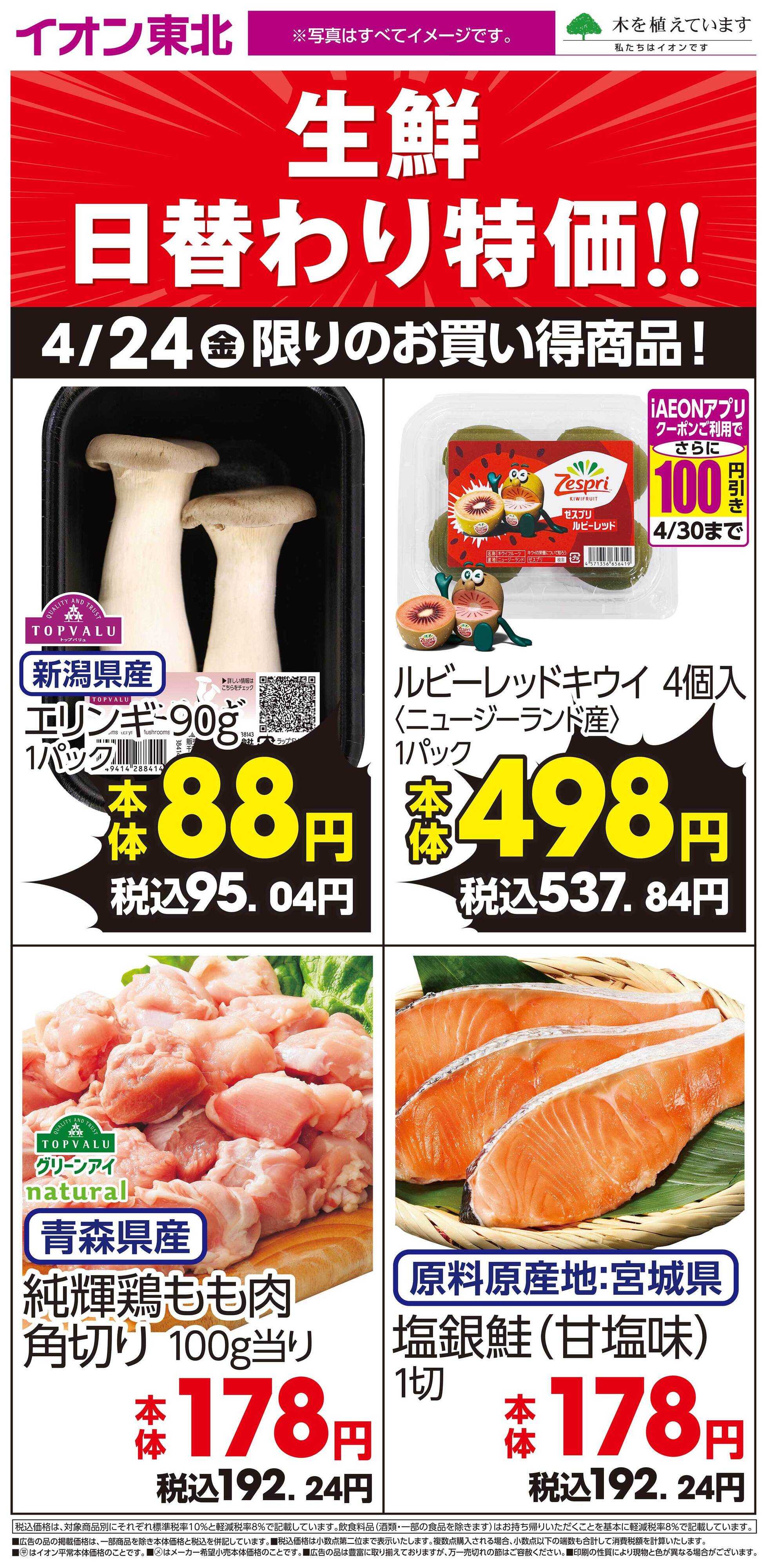 イオンスタイル 4月24日日替わり