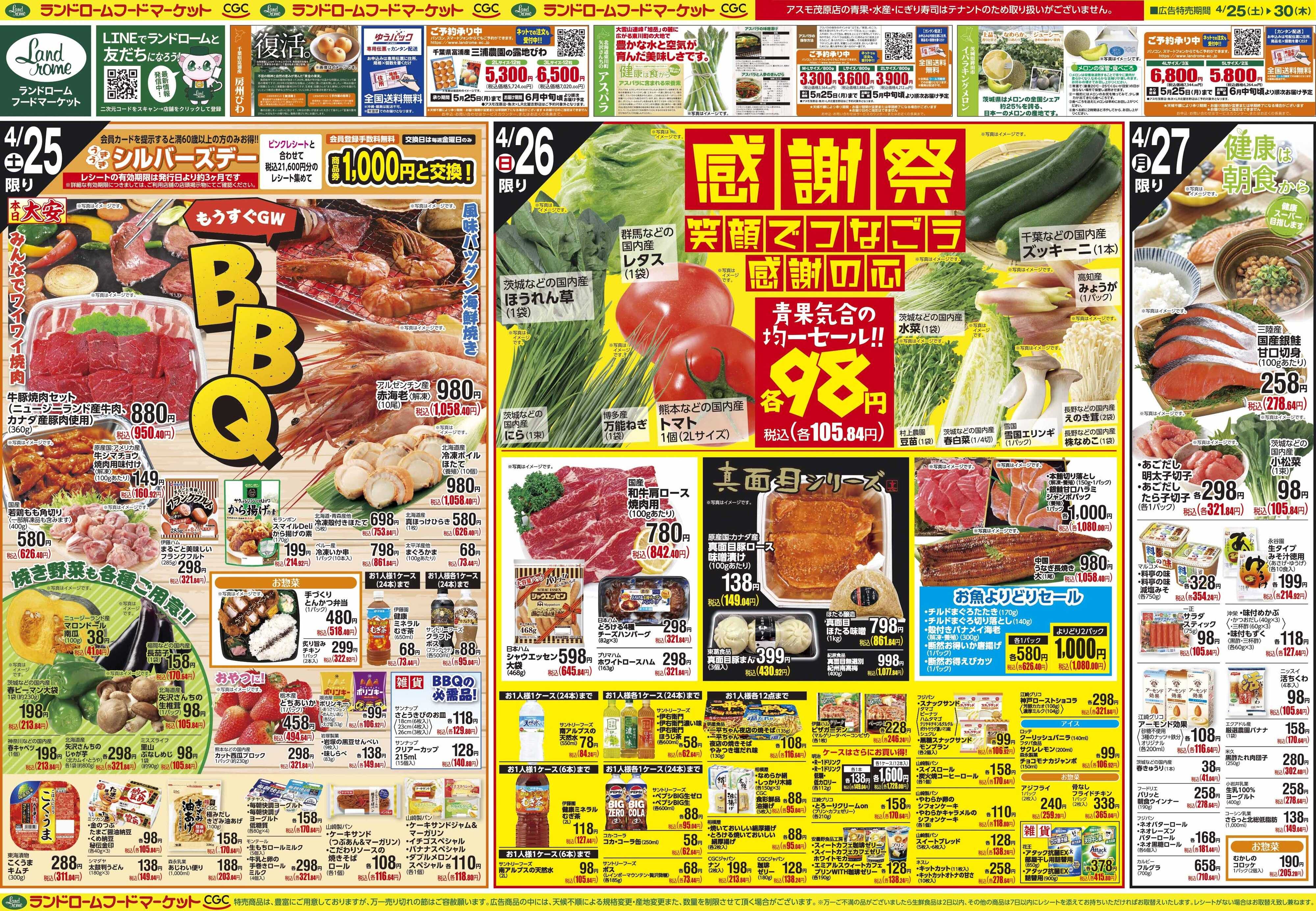 ランドローム 4/25号