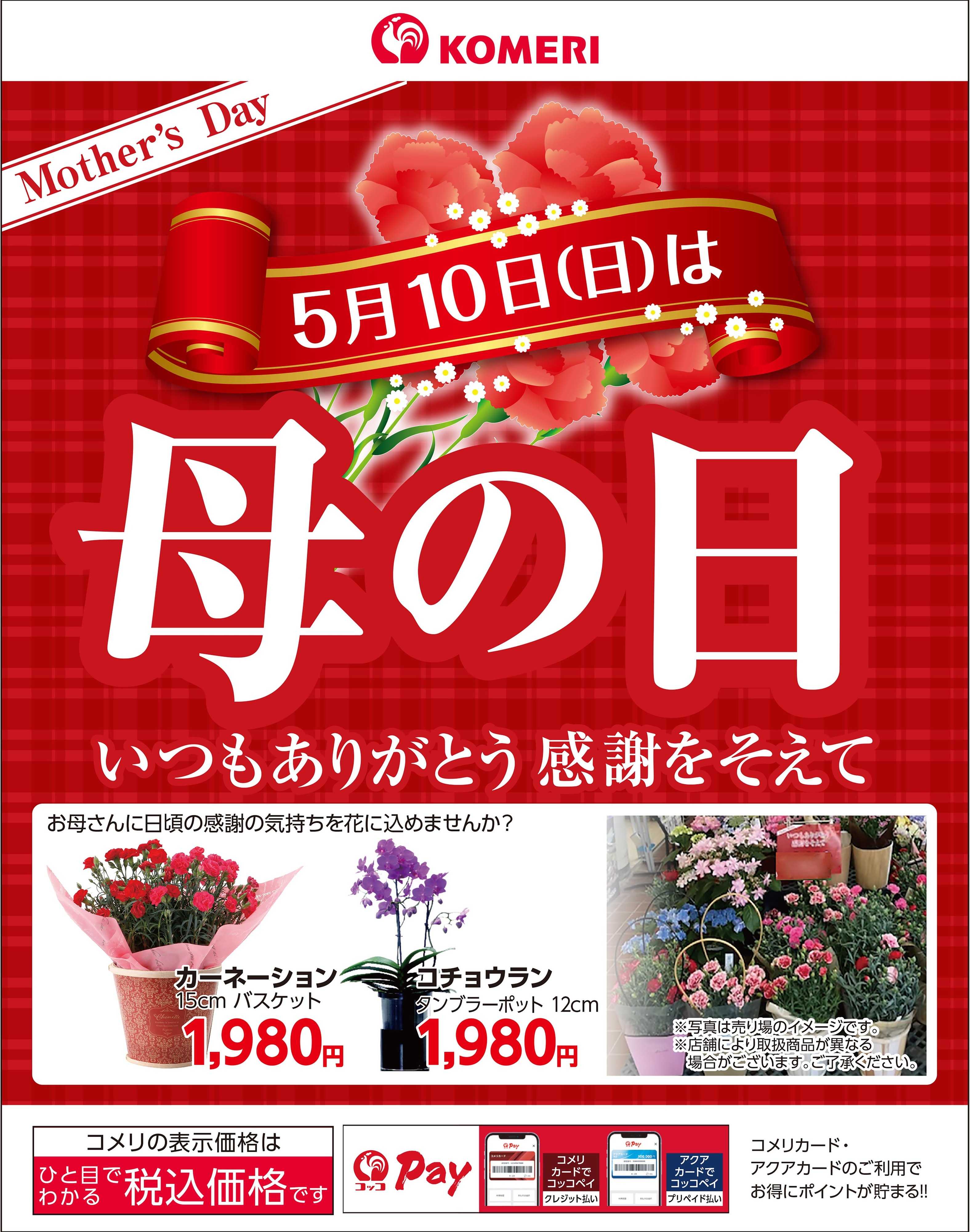 コメリハード＆グリーン 〈5月10日(日)〉 母の日