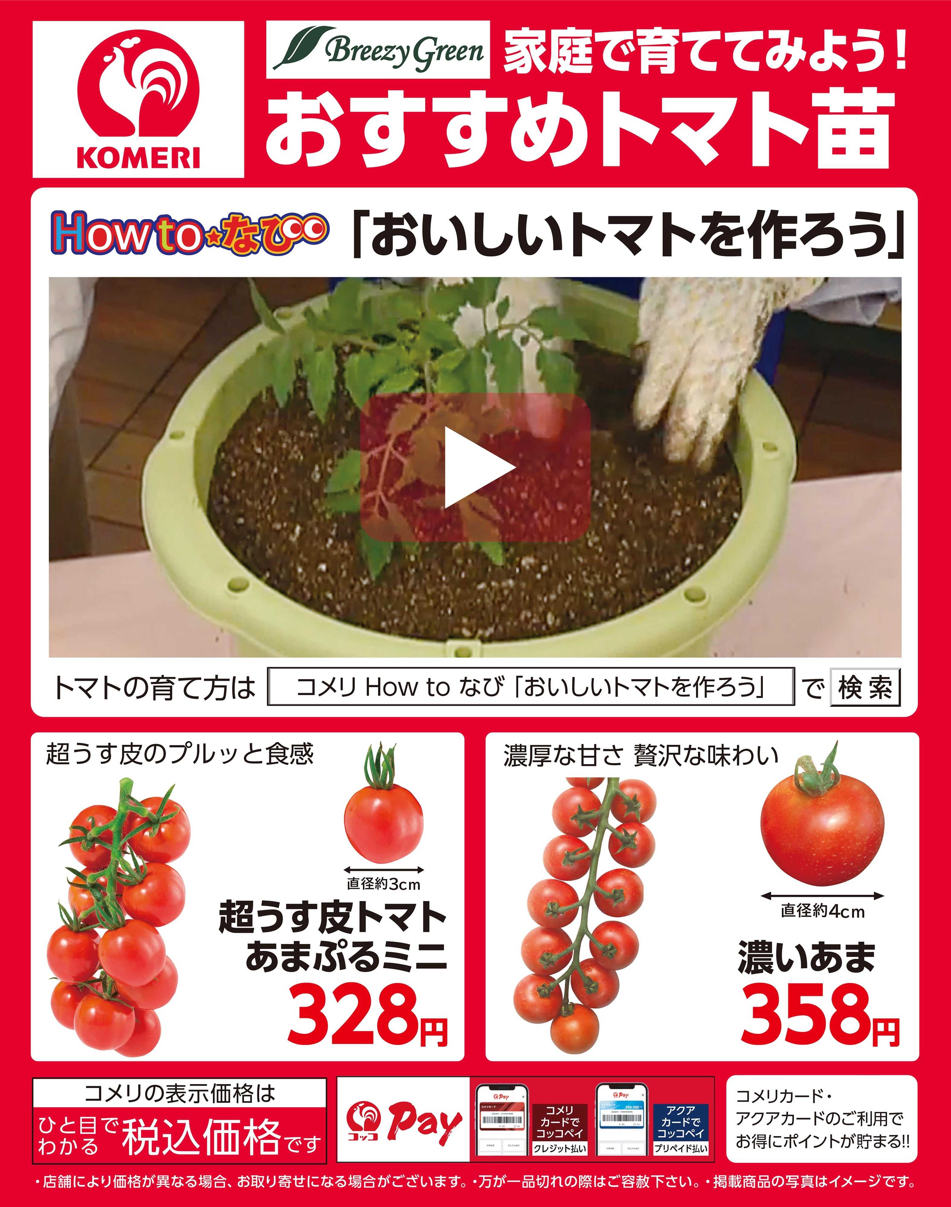 コメリハード＆グリーン おすすめトマト苗