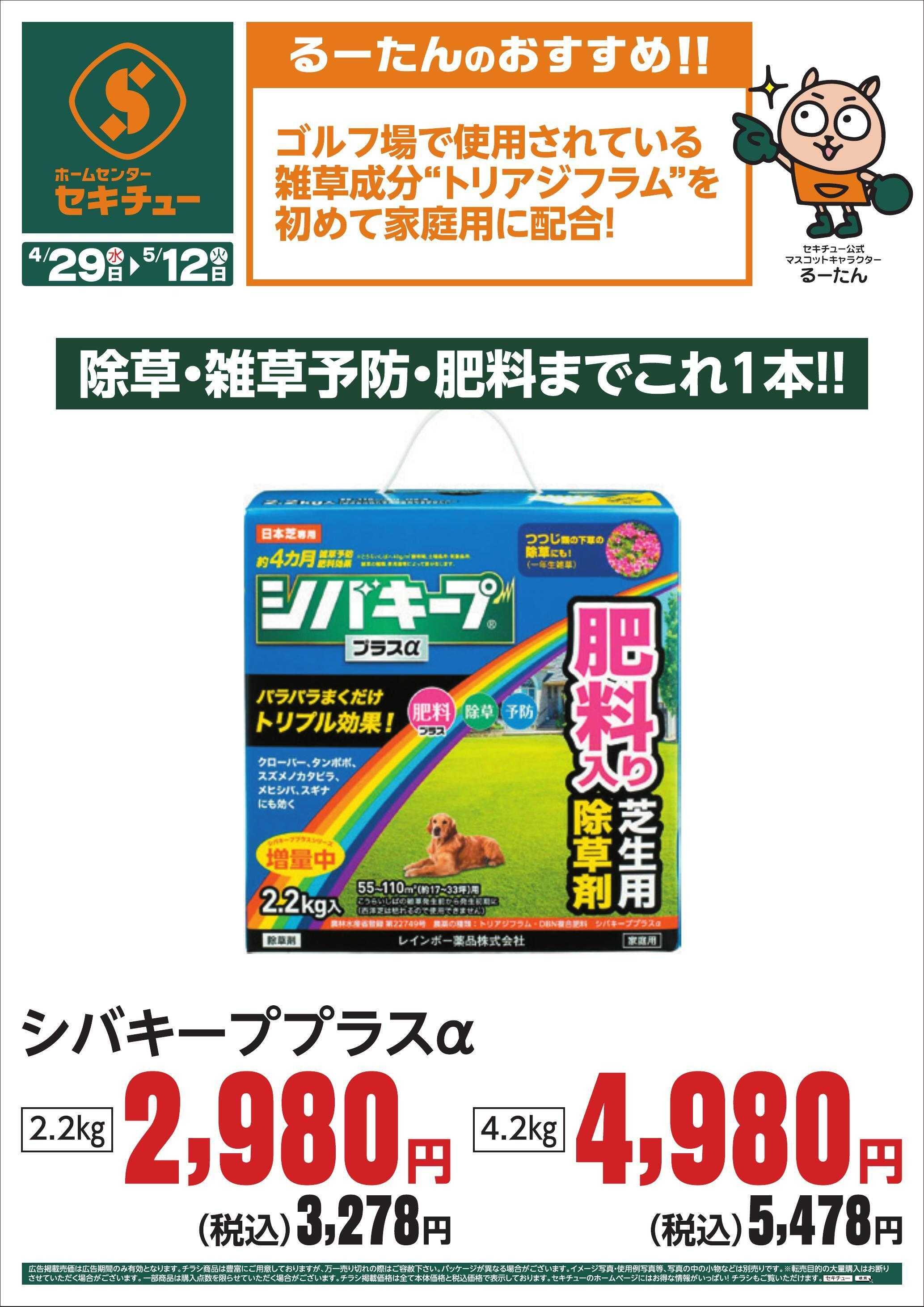 セキチュー るーたんのおすすめ！！