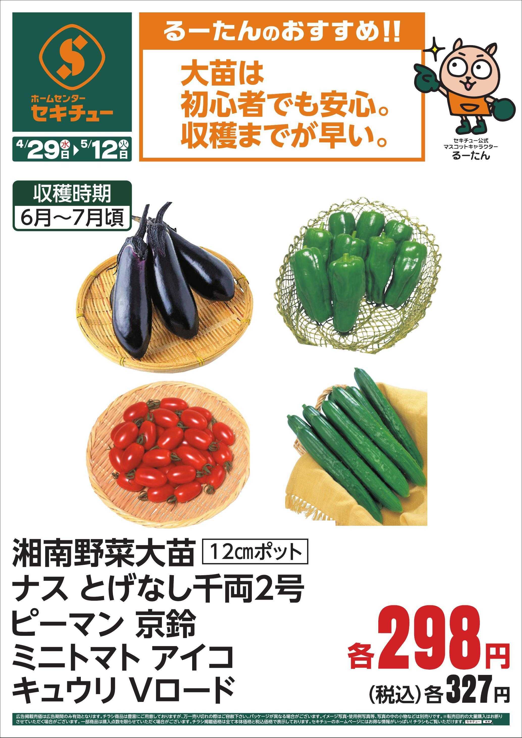 セキチュー るーたんのおすすめ！！