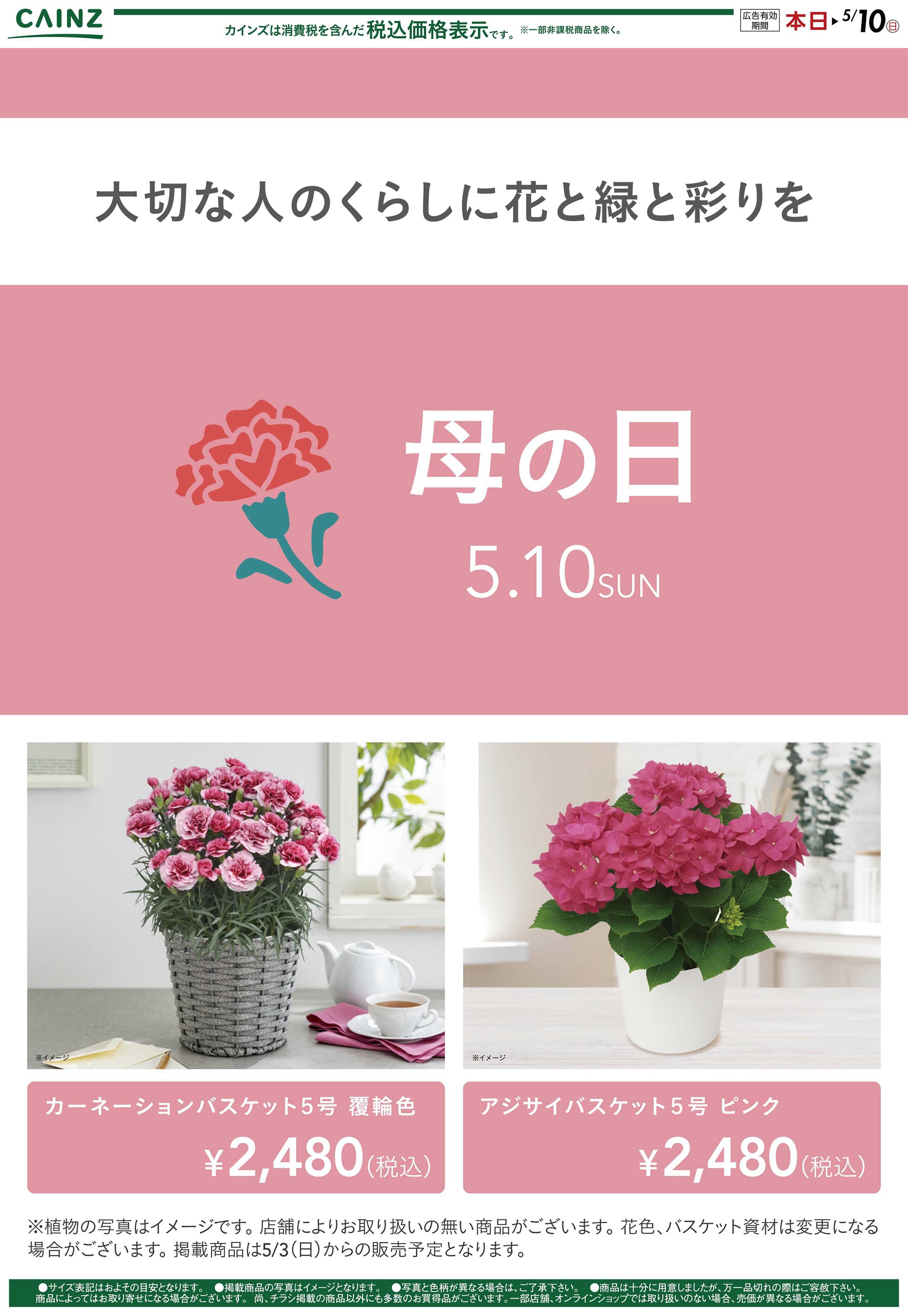 カインズ 母の日