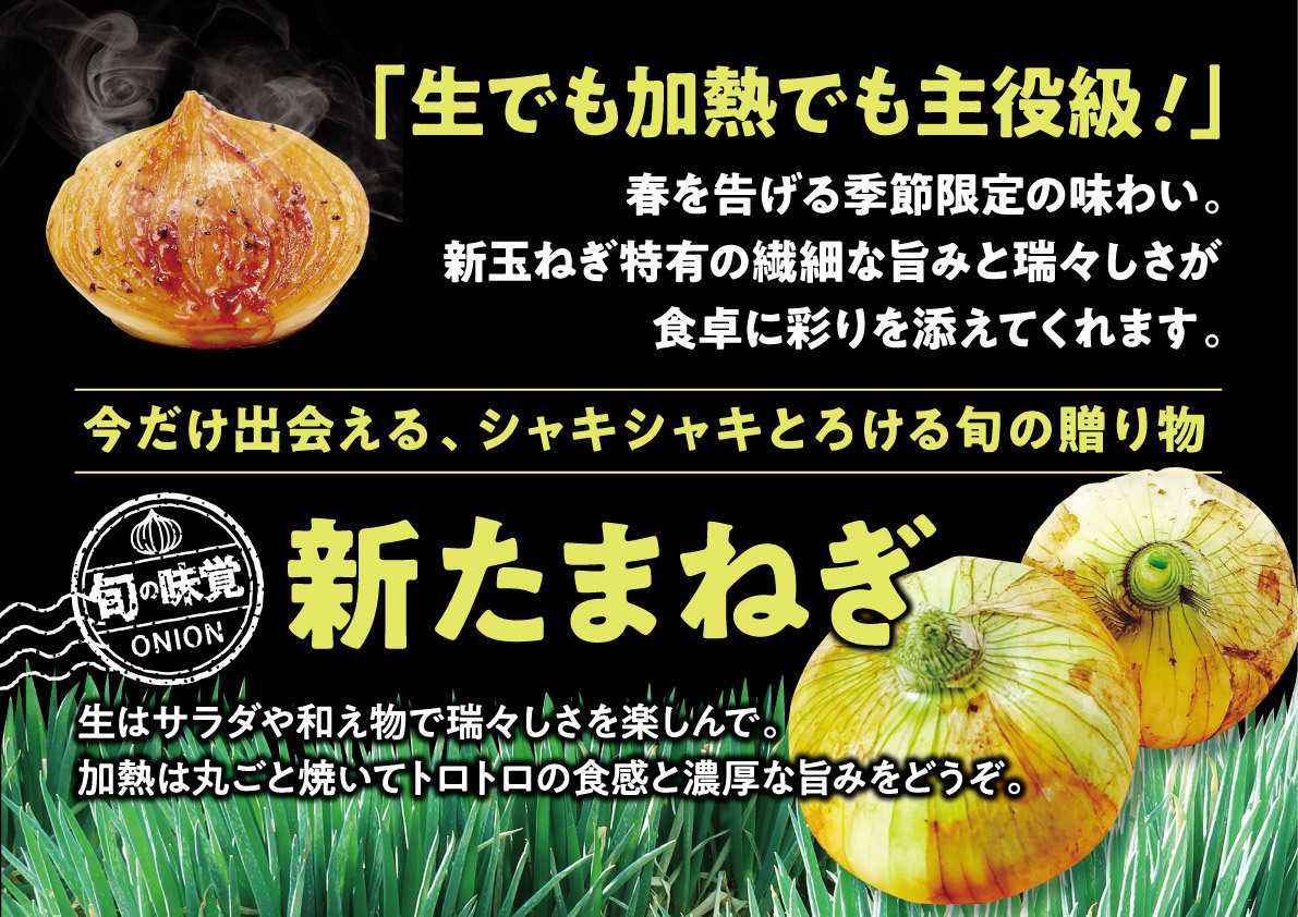 北海市場 【5月のこだわり商品】新玉ねぎ▼▼お知らせをチェック！▼▼