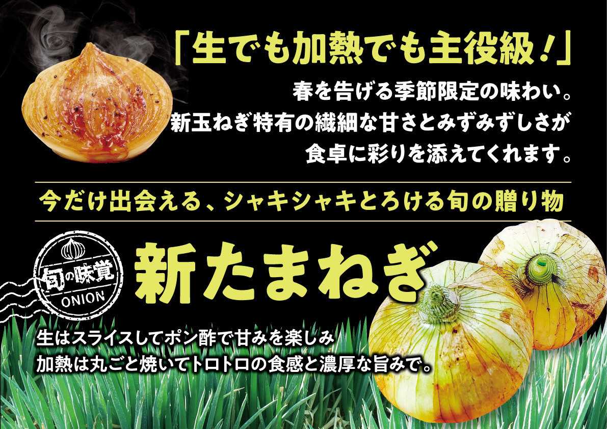 北海市場 【5月のこだわり商品】新玉ねぎ▼▼お知らせをチェック！▼▼