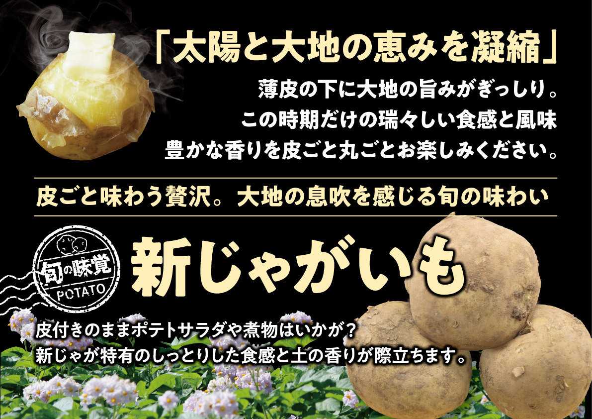 北海市場 【5月のこだわり商品】新じゃが芋▼▼お知らせをチェック！▼▼