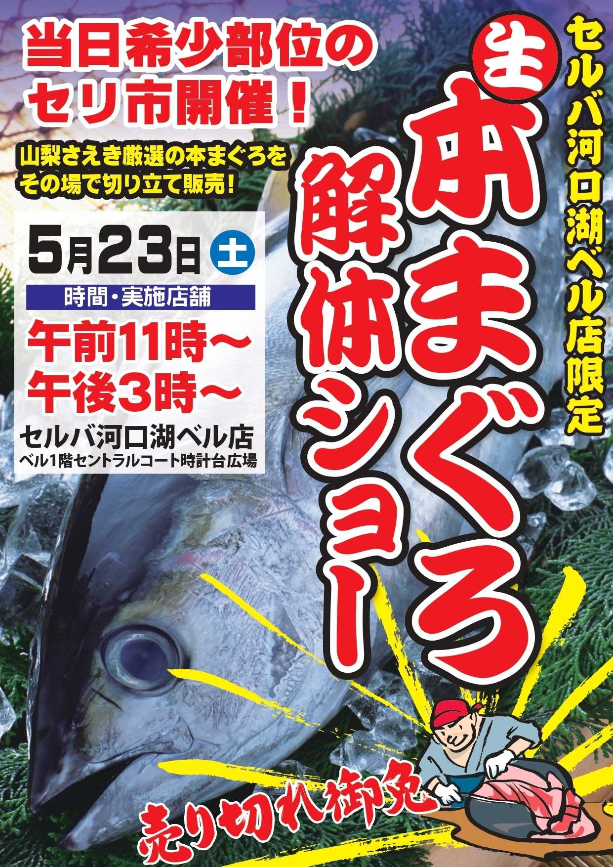 セルバ 【5/23(土)】セルバ河口湖BELL店まぐろ解体ショー開催！
