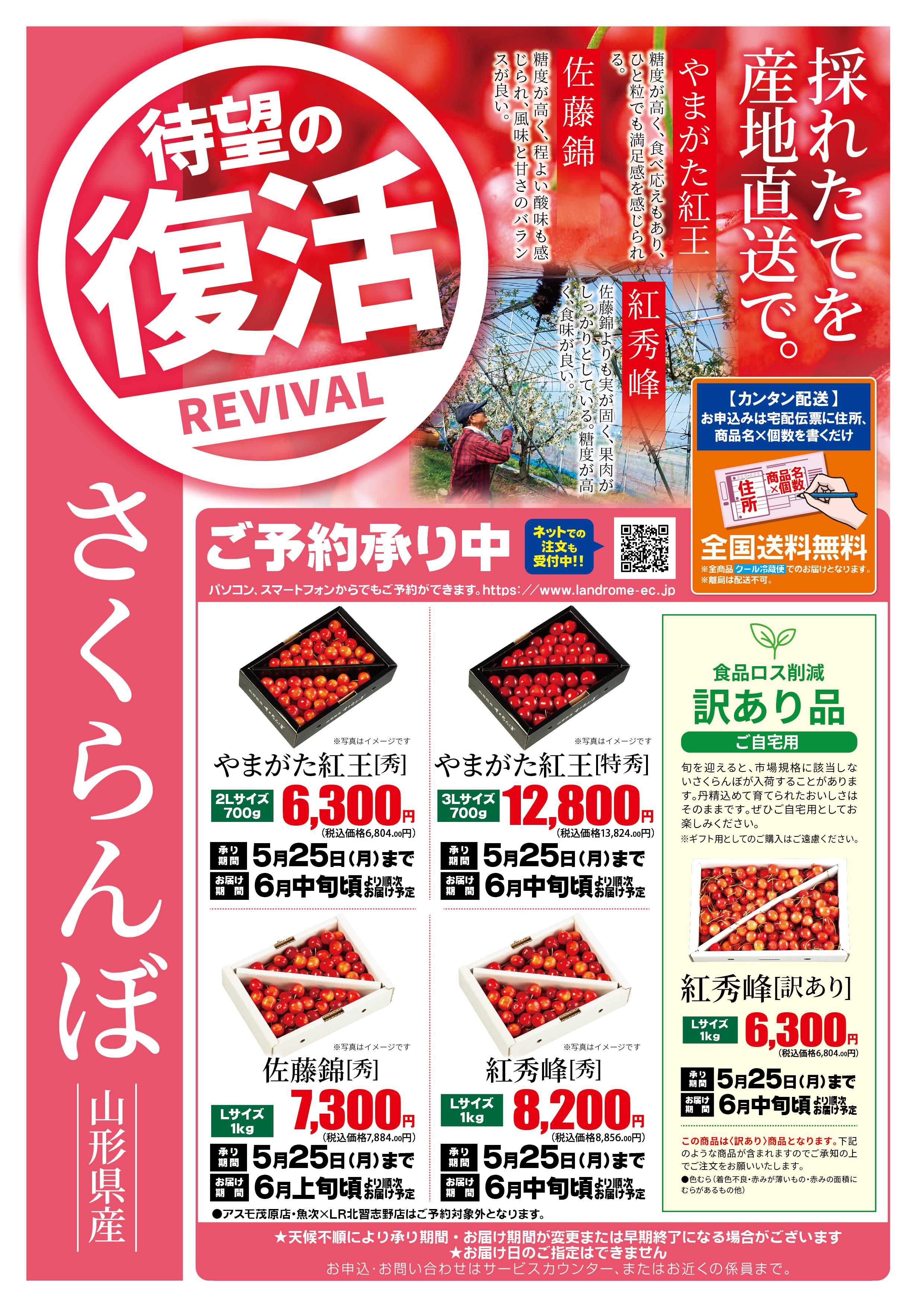 ランドローム 5月さくらんぼ