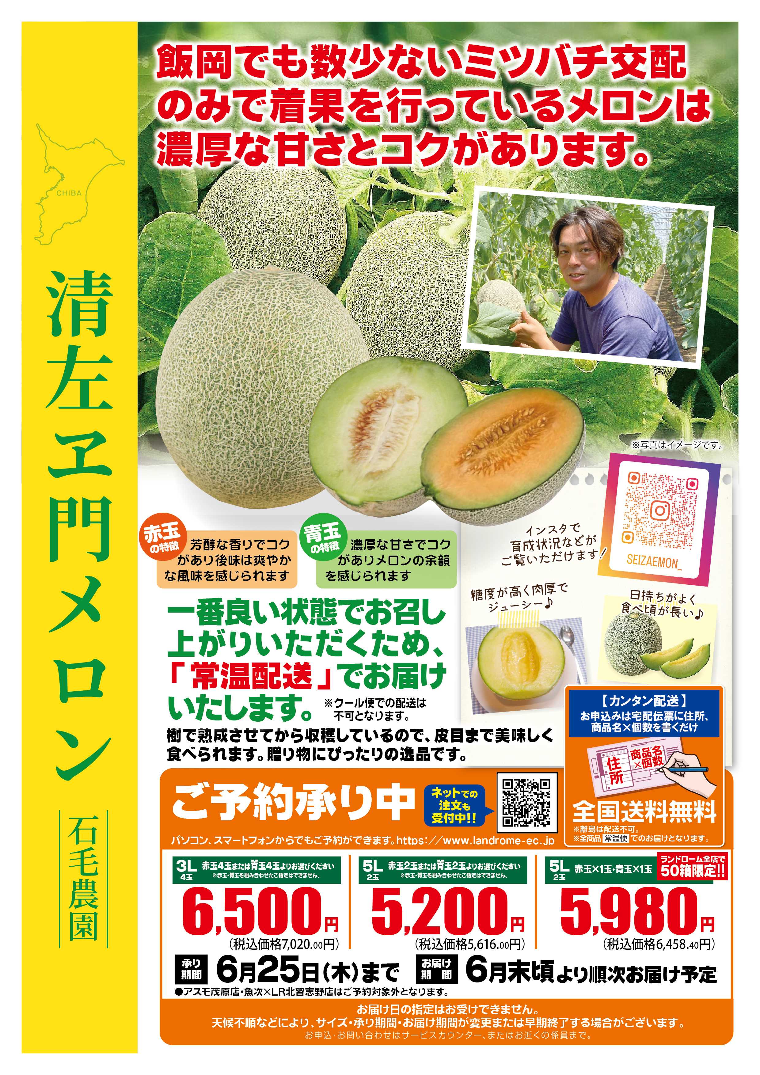 ランドローム 5月清左ヱ門メロン