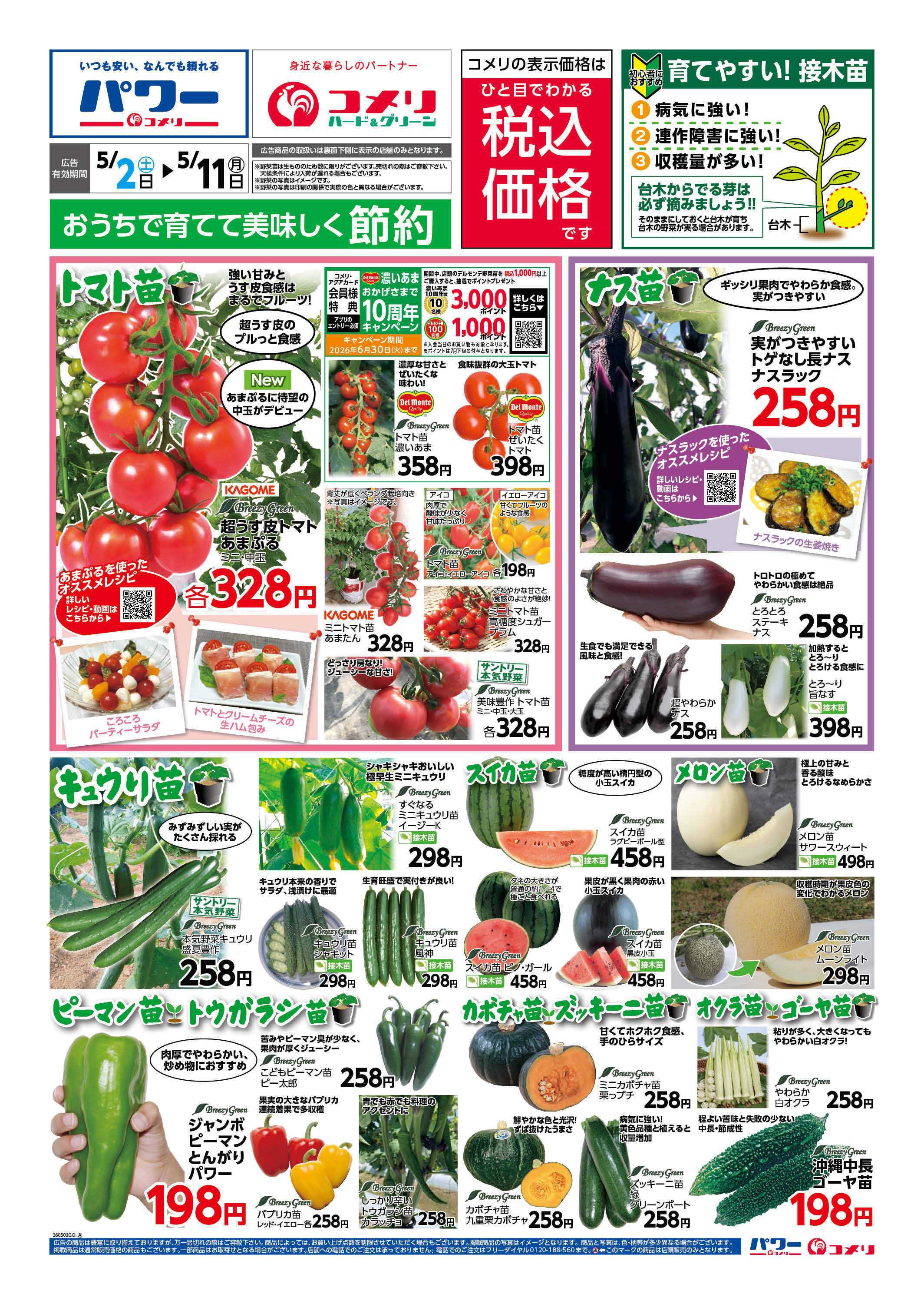 コメリハード＆グリーン コメリ野菜苗チラシ！！