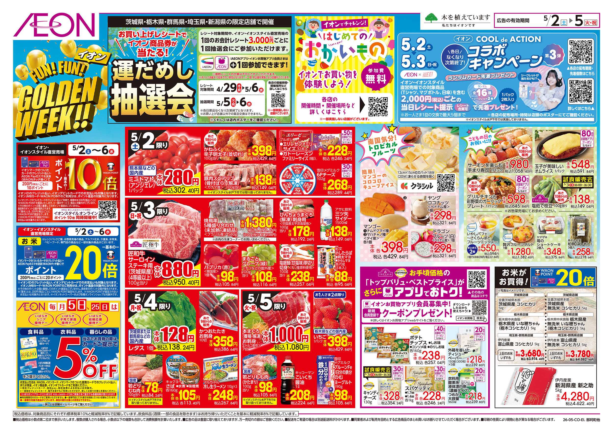 イオンスタイル 5/2号　FUN!FUN!ゴールデンウィーク：表面