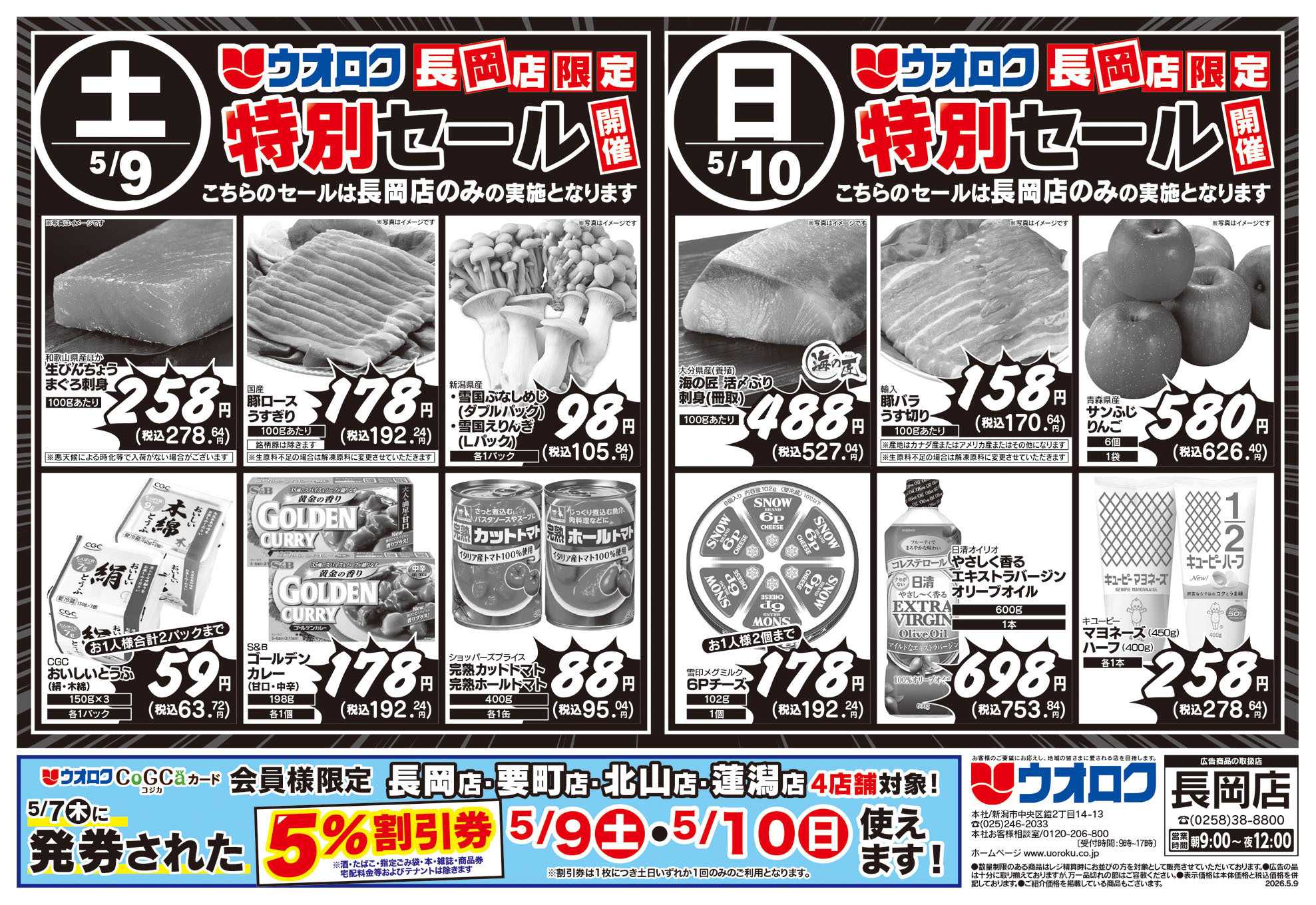 ウオロク 長岡店限定　特別セール/元気爆発価格