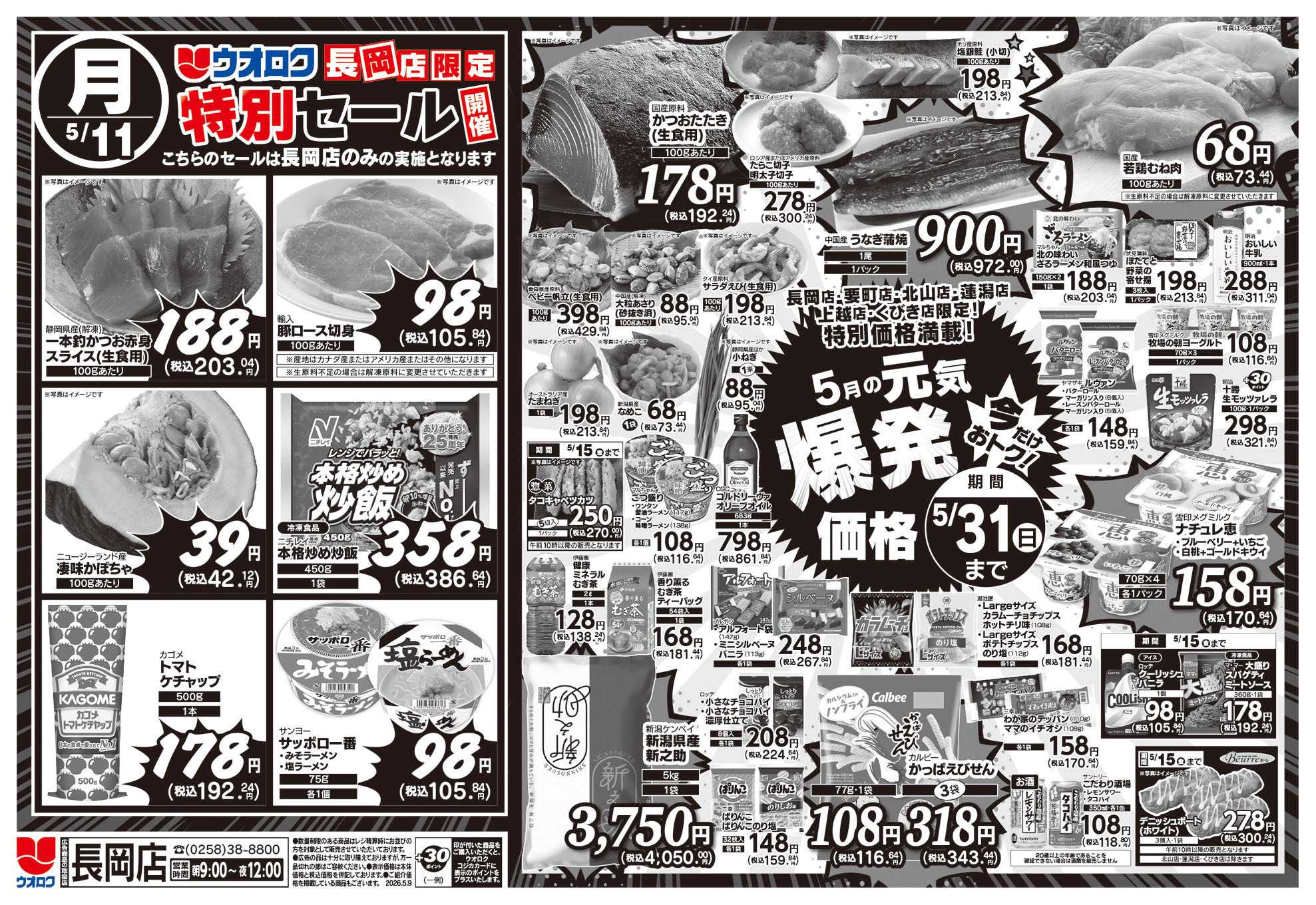 ウオロク 長岡店限定　特別セール/元気爆発価格