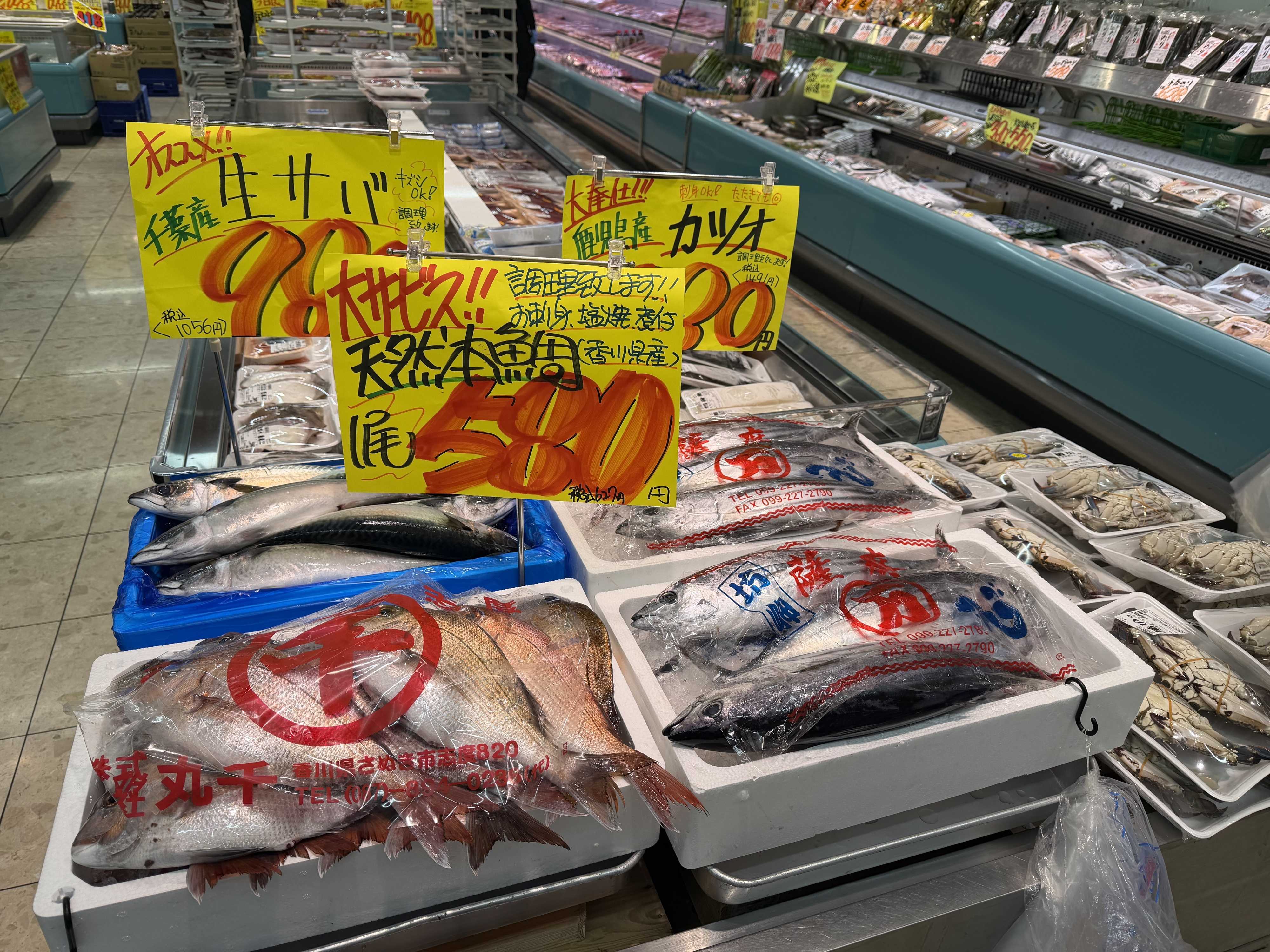 たこ一 