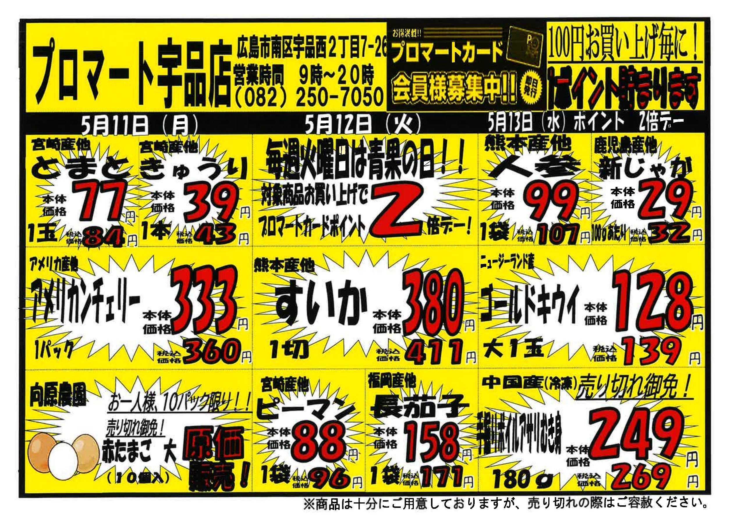 プロマート 5/11～5/17