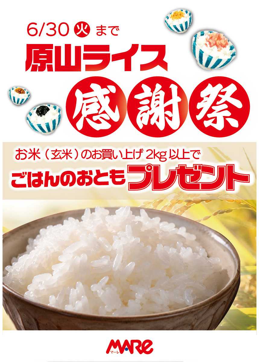 マーレ 原山ライス感謝祭