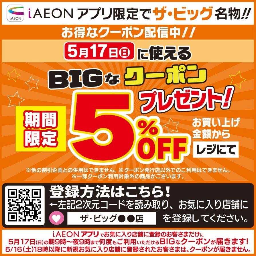 ザ・ビッグ BIGなクーポン配信中
