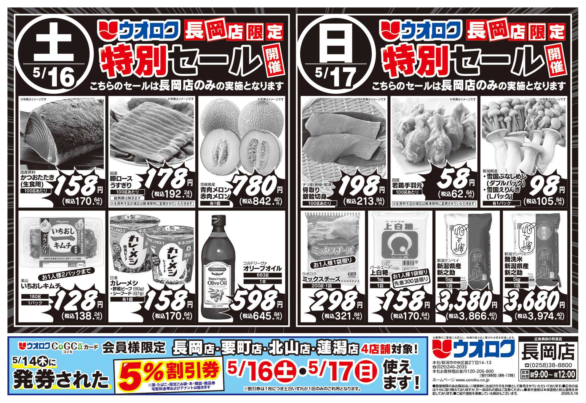 ウオロク 長岡店限定　特別セール/ボーナスポイント