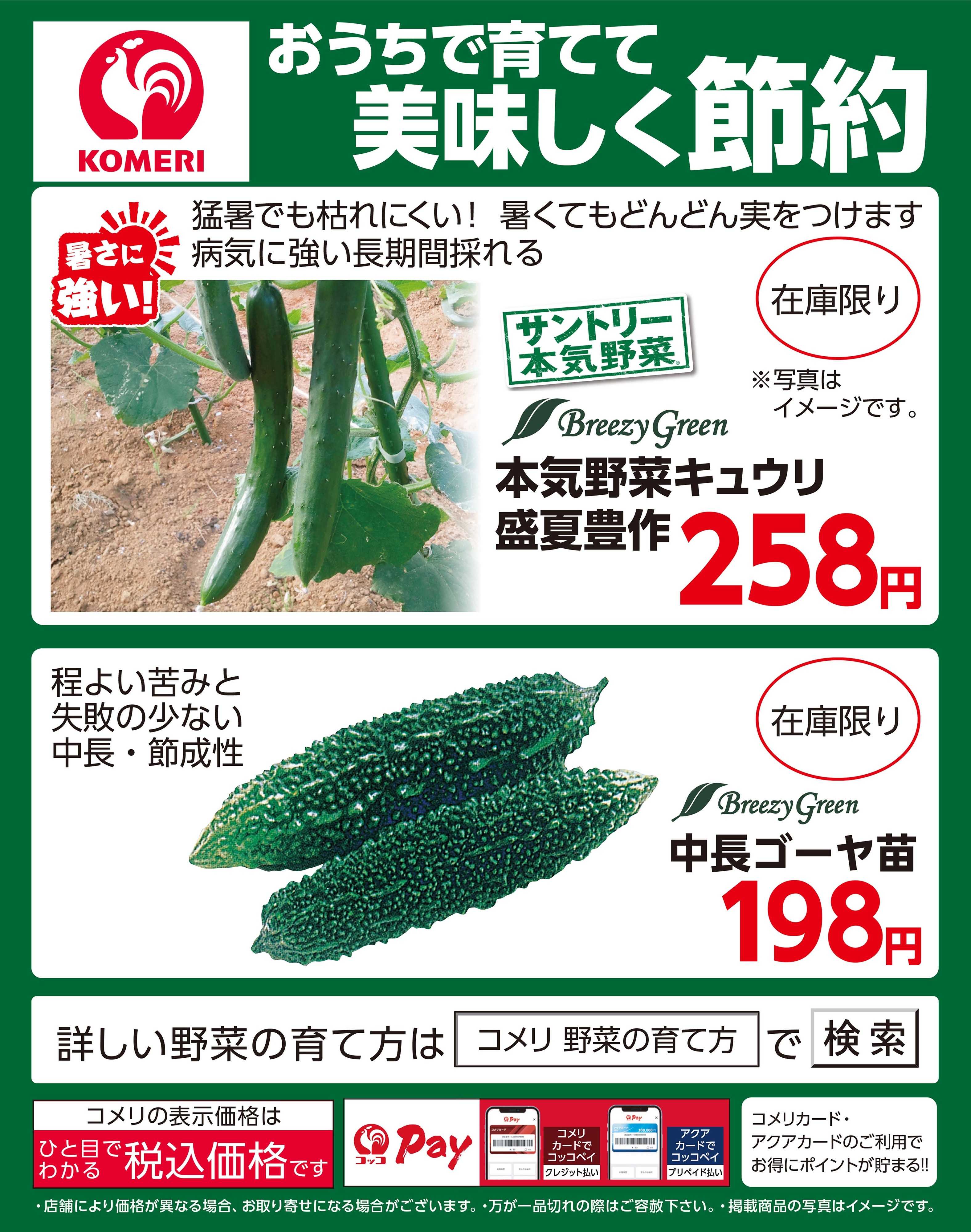 コメリハード＆グリーン きゅうり・ゴーヤ 育てて美味しく節約