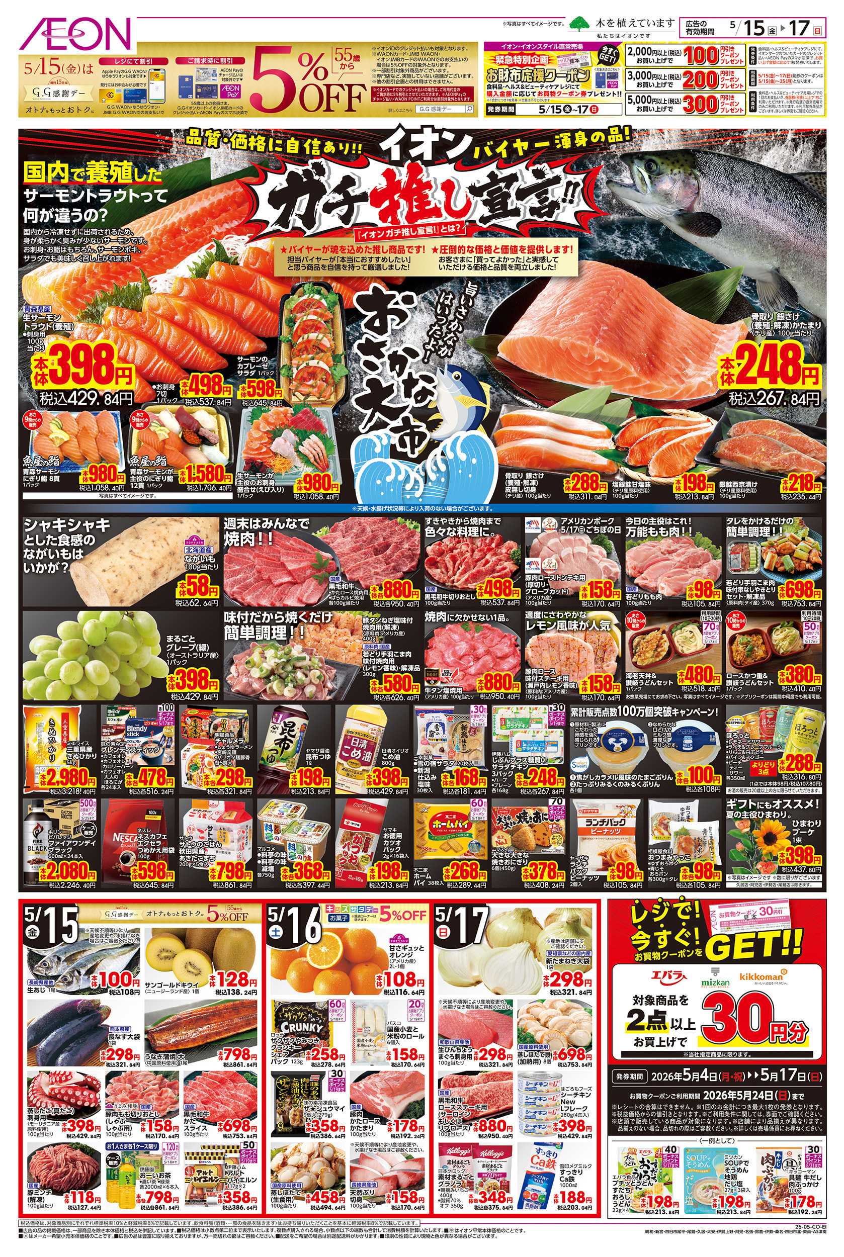 イオン 5/15～5/17